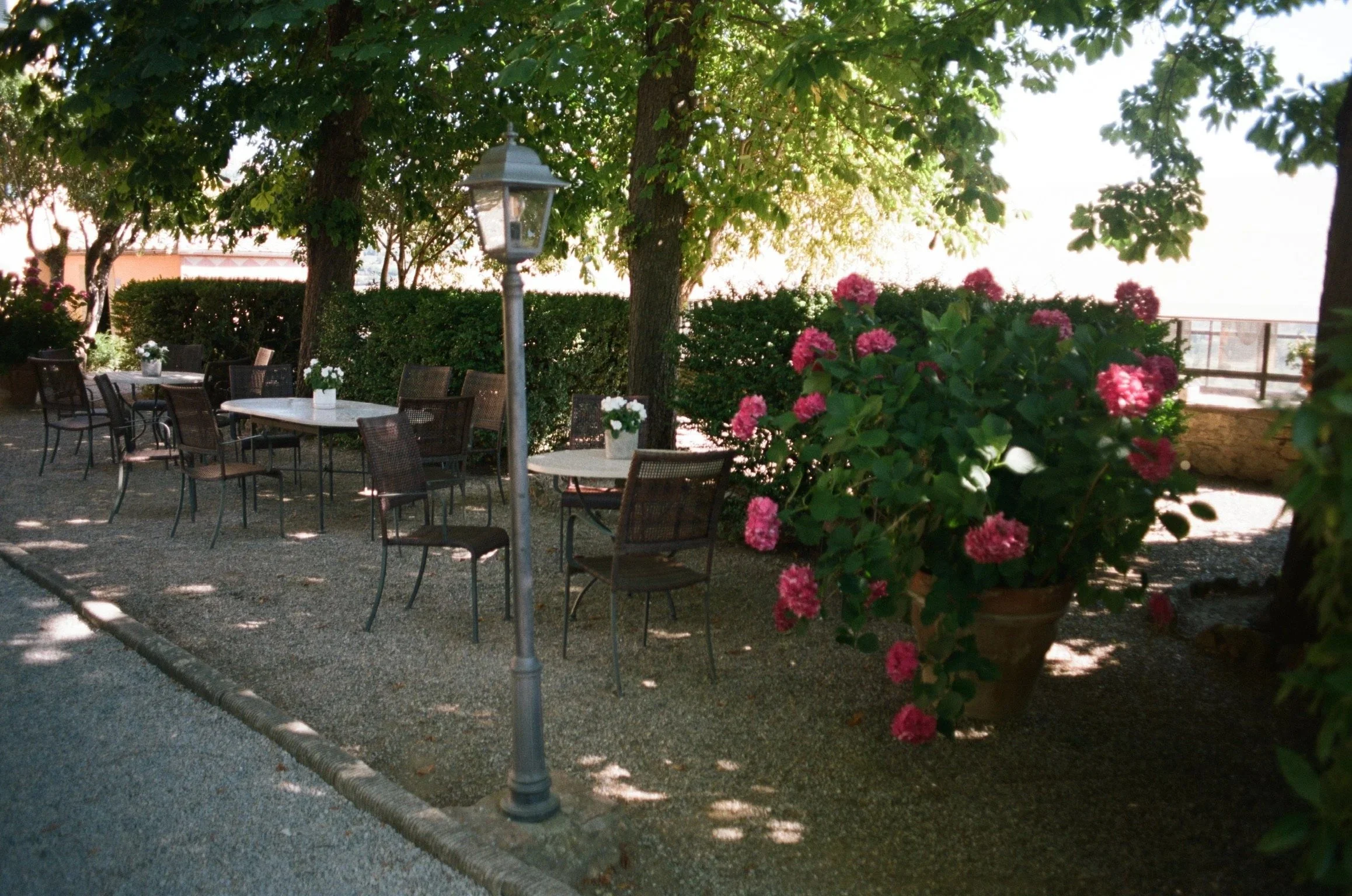 imgi_328_000040890005.jpg