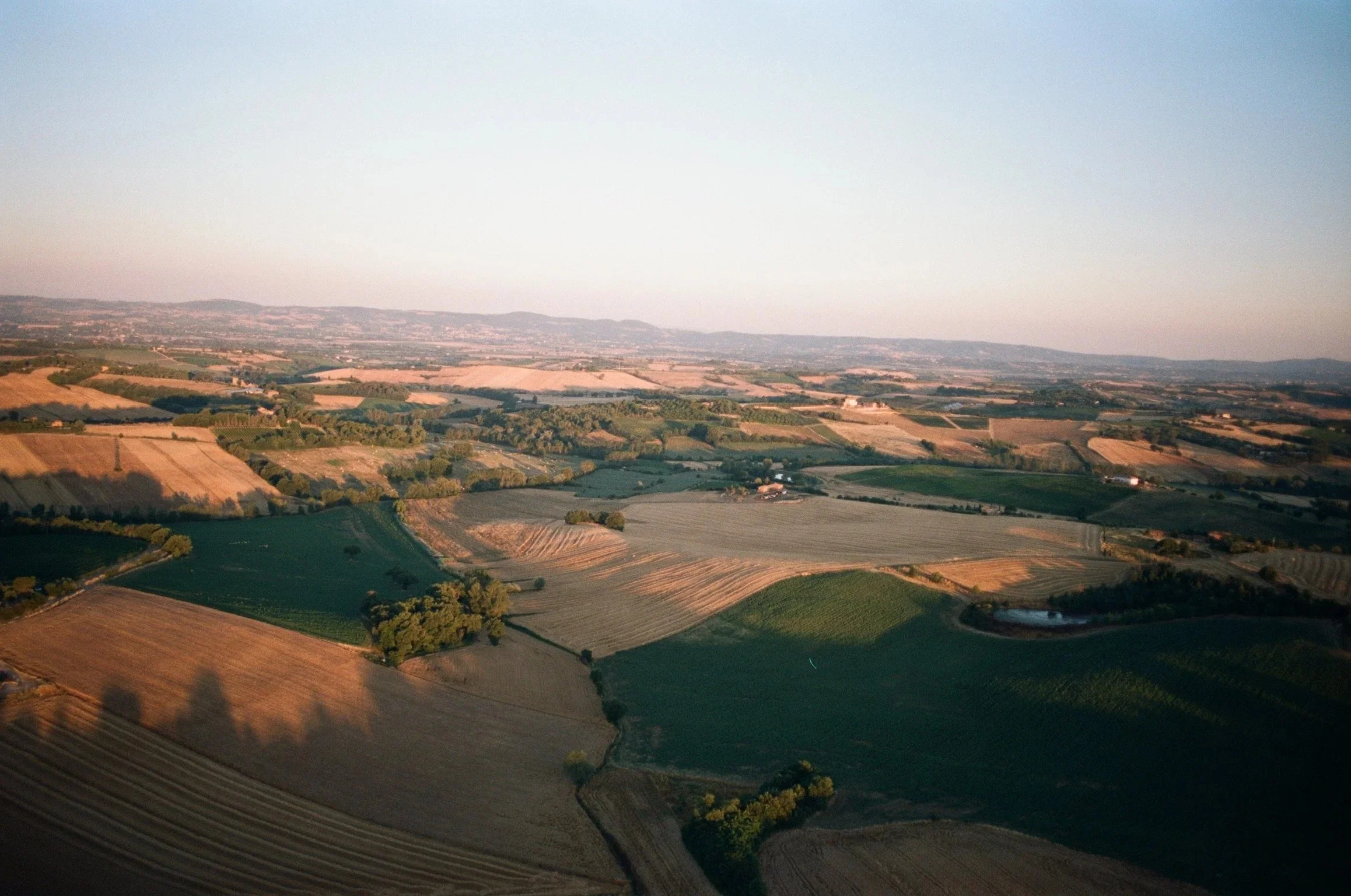 imgi_349_000040890035.jpg