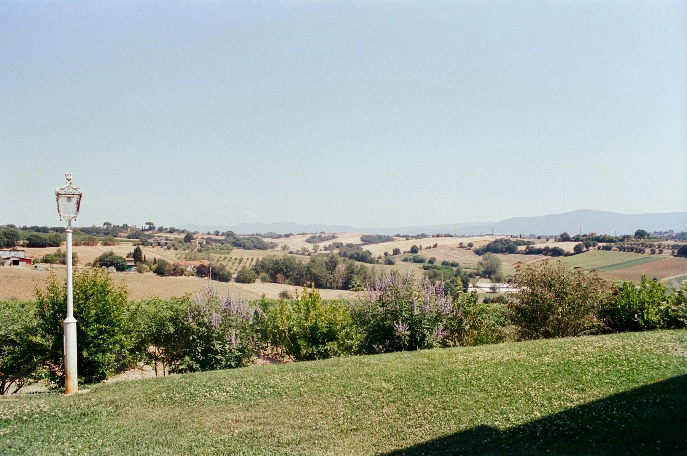 imgi_354_000040900005.jpg
