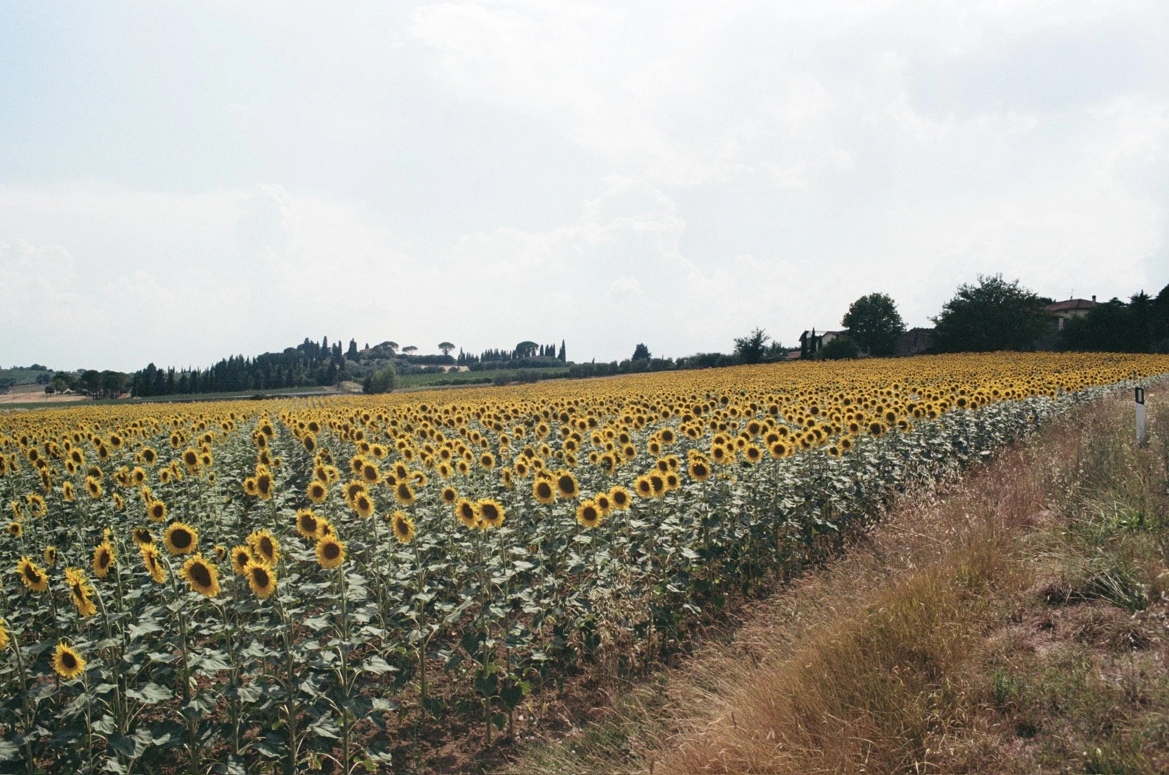 imgi_371_000040900036.jpg