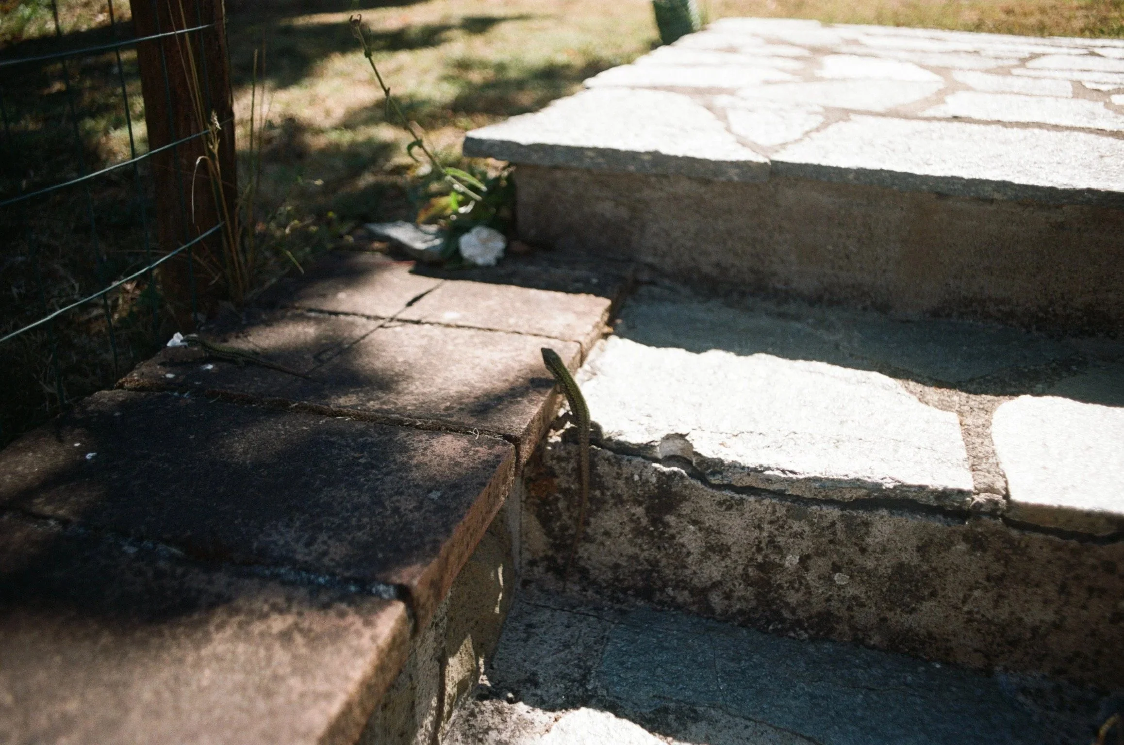 imgi_393_000040920006.jpg
