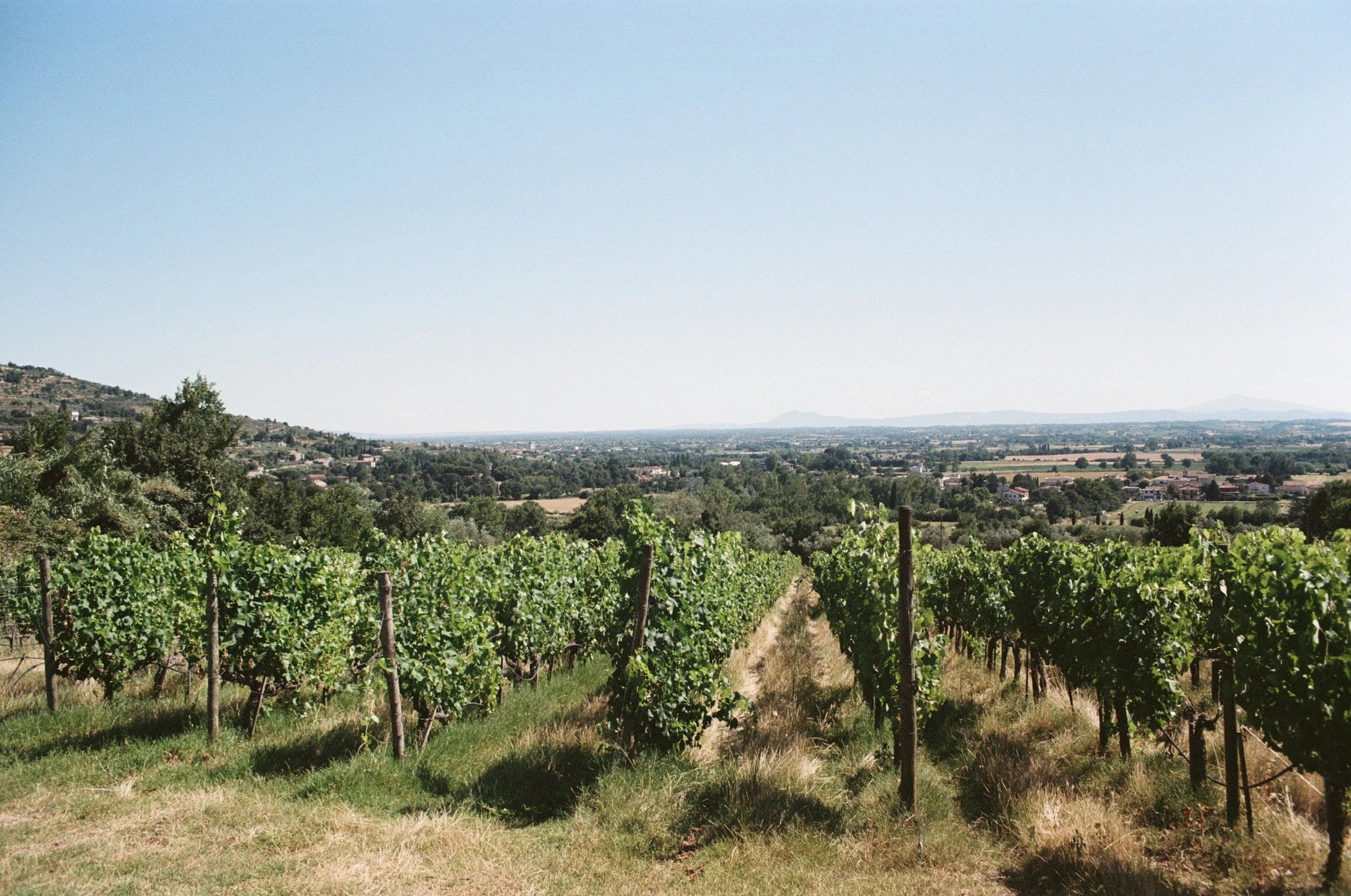 imgi_406_000040920030.jpg