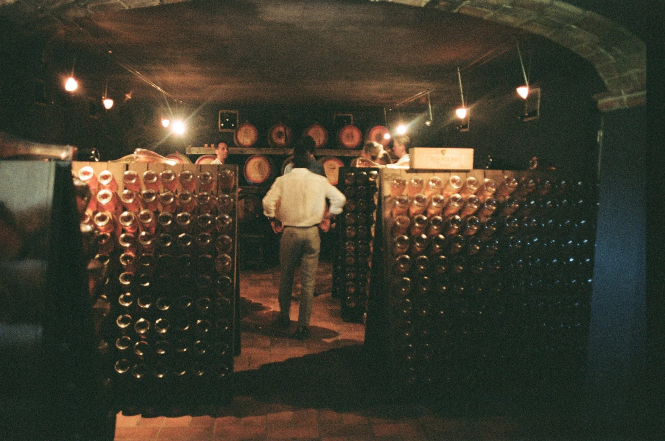 imgi_410_000040920035.jpg