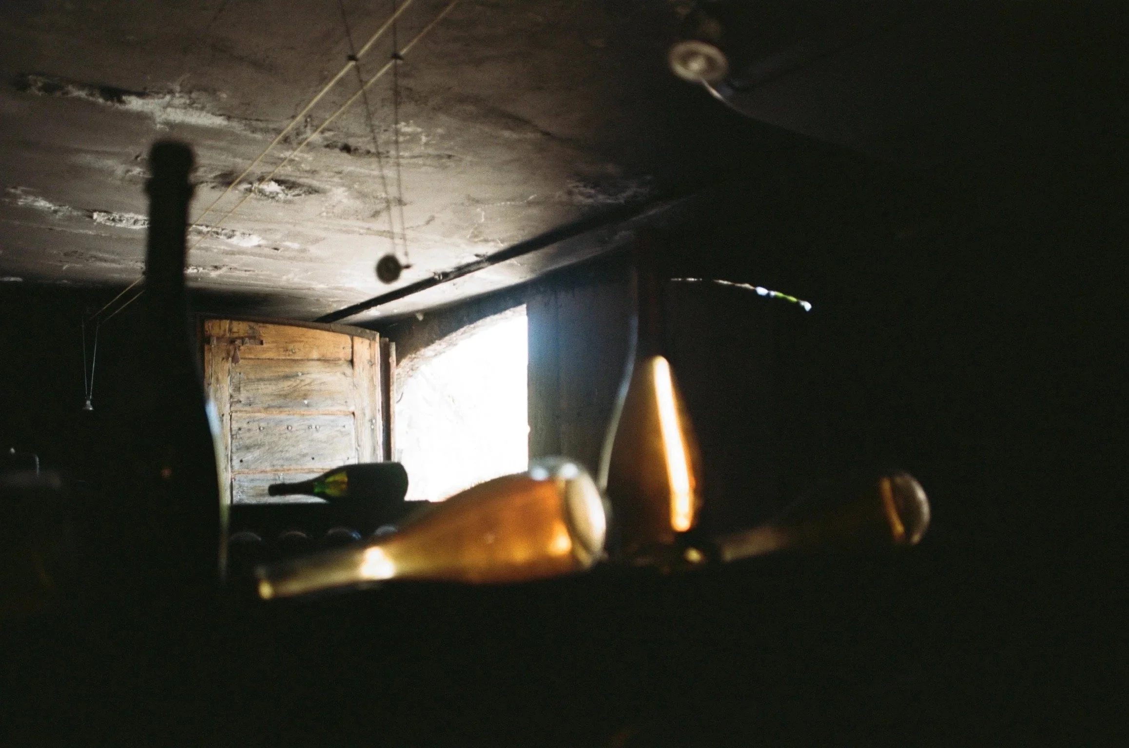 imgi_411_000040920037.jpg