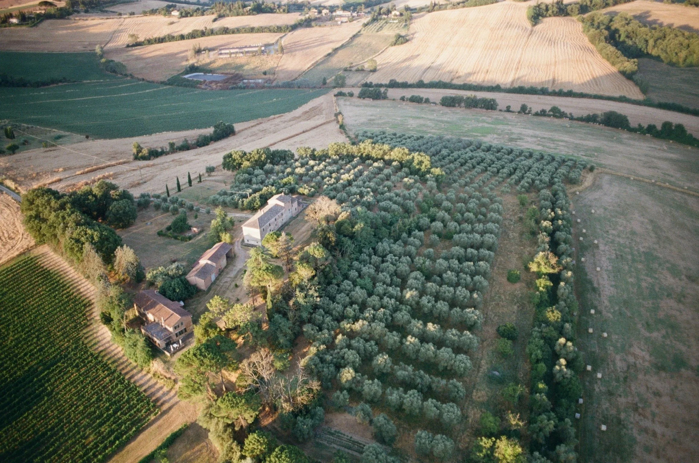 imgi_416_000040930008.jpg