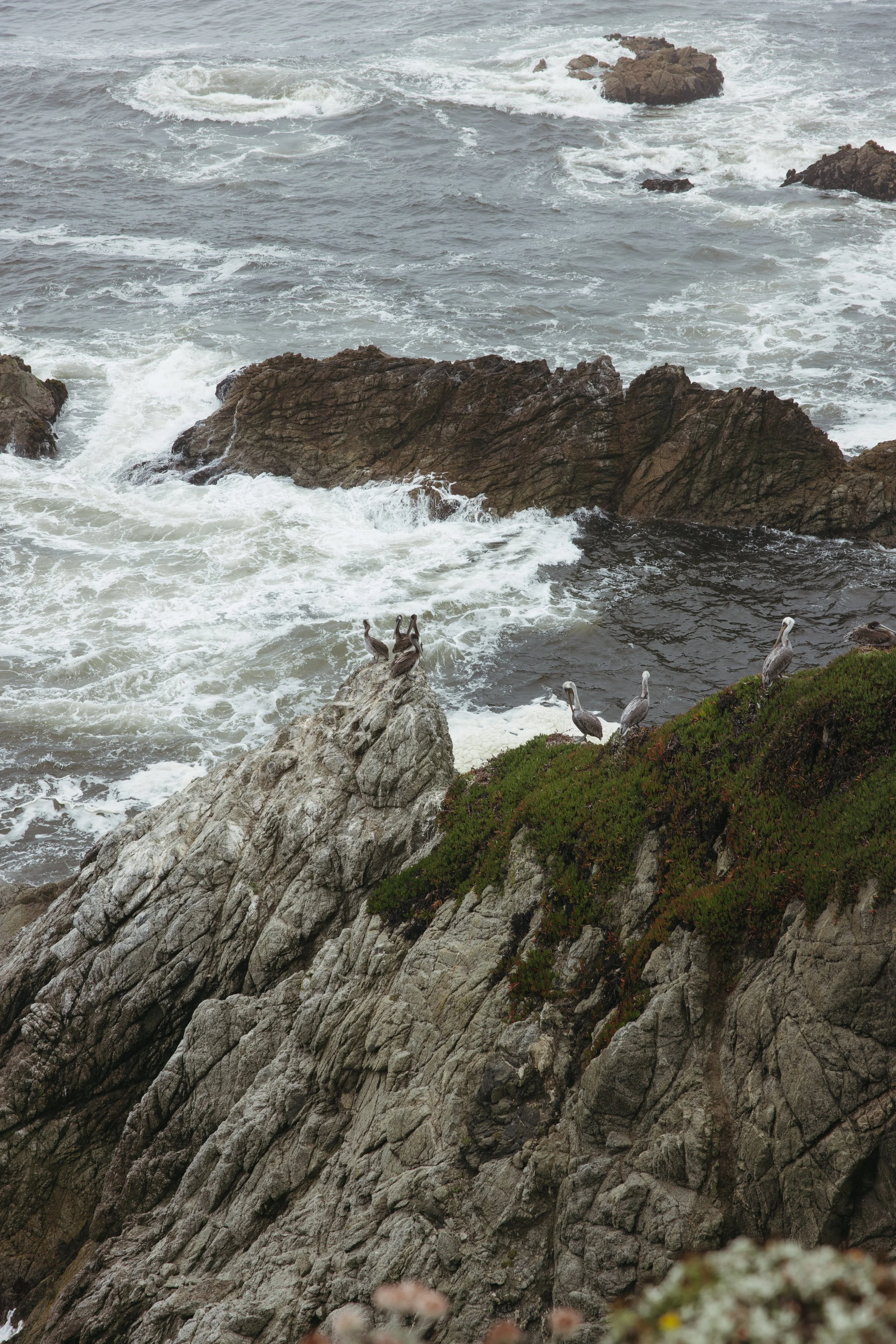 christinasheldonatolerphoto-0515.jpg