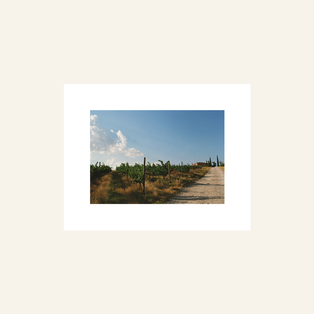 ATP-Print-Shop-Images-BLUE,-GREEN.png