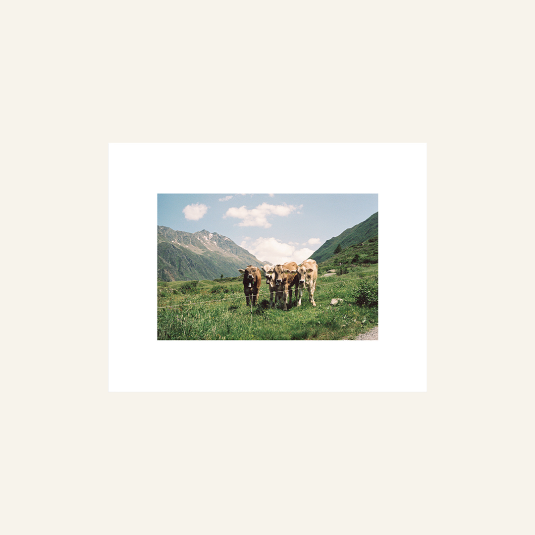ATP-Print-Shop-Images-FRIEND-GROUP.png