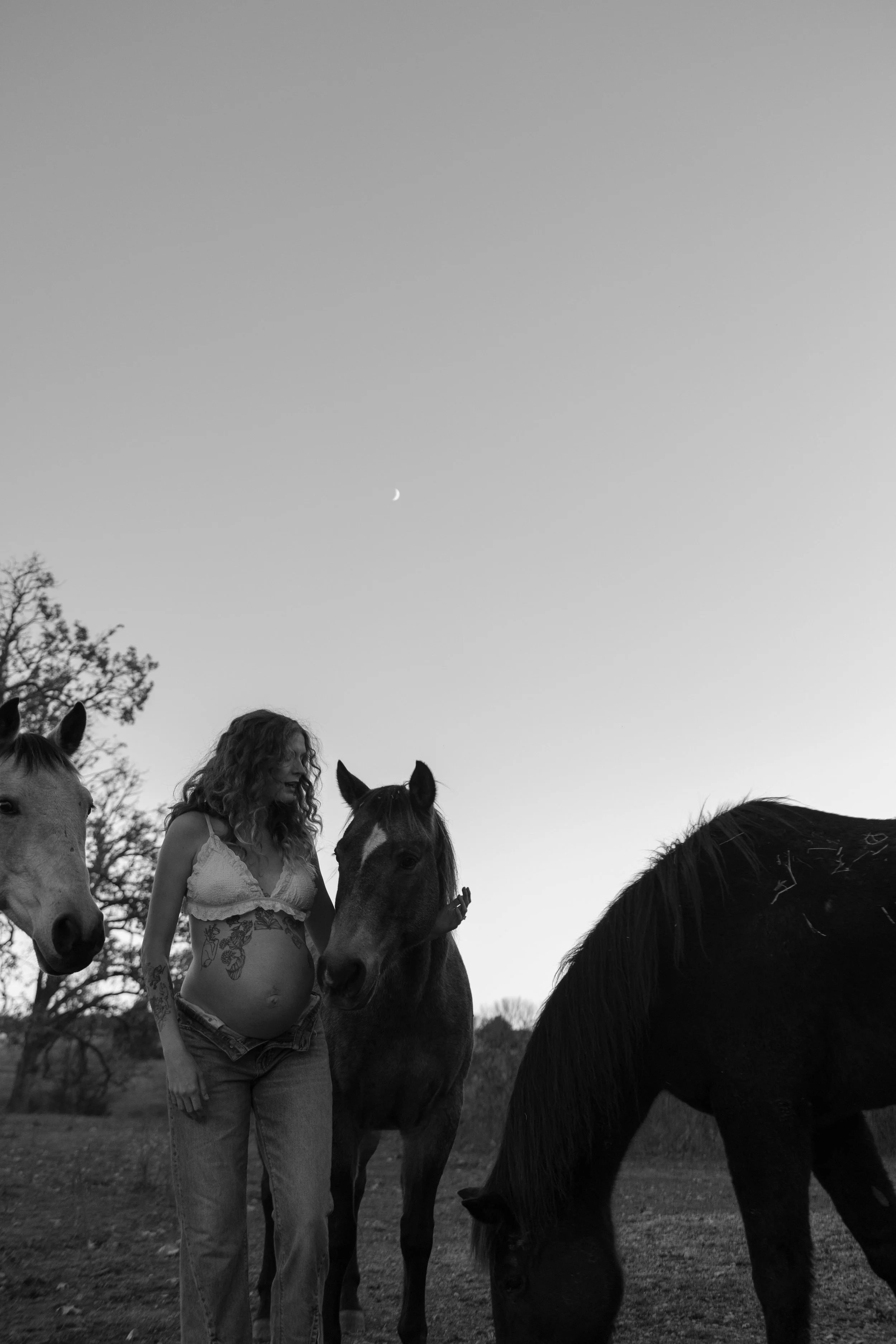 black and white maternity photo with horses
