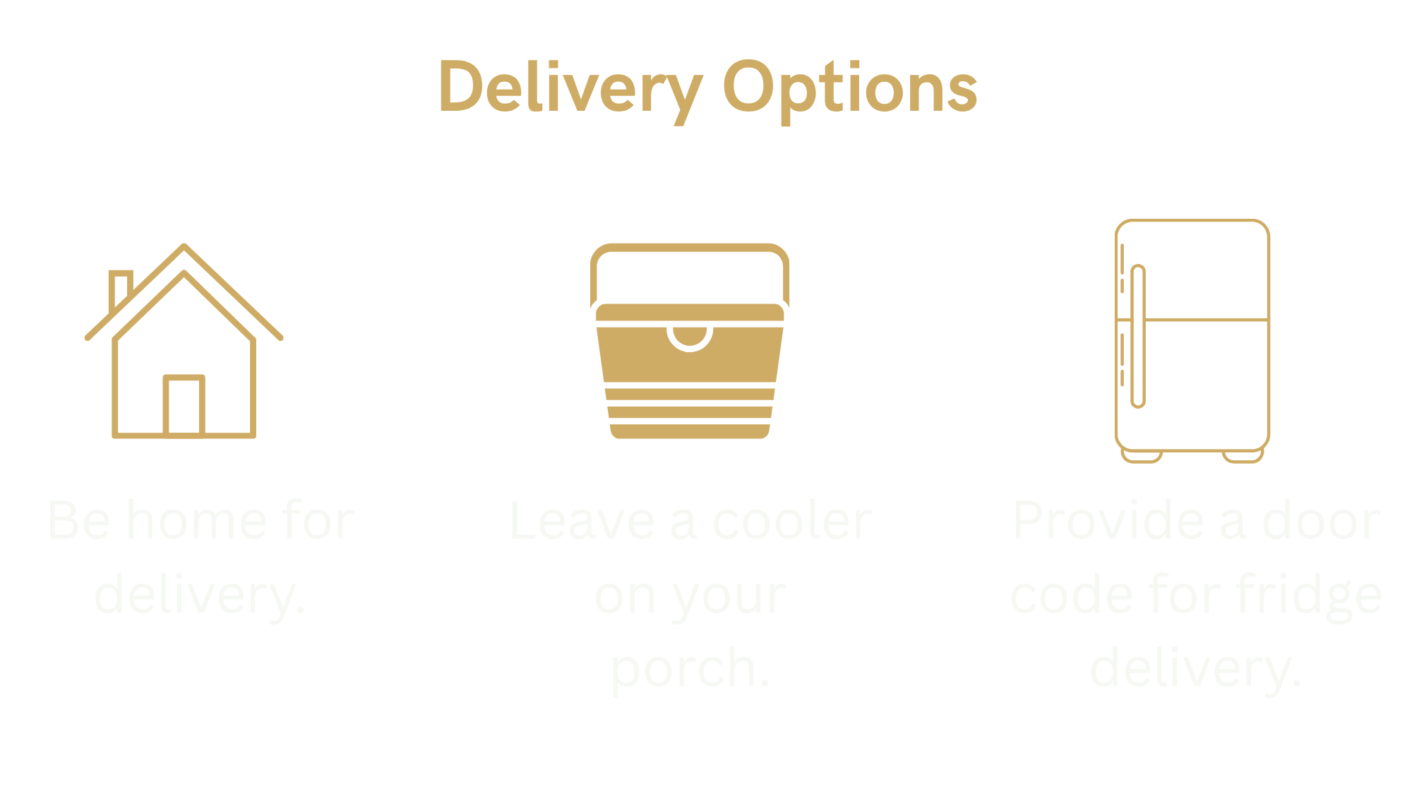 Graphic outlining three delivery options: be home for delivery, leave a cooler on your porch, or provide a door code for fridge delivery.