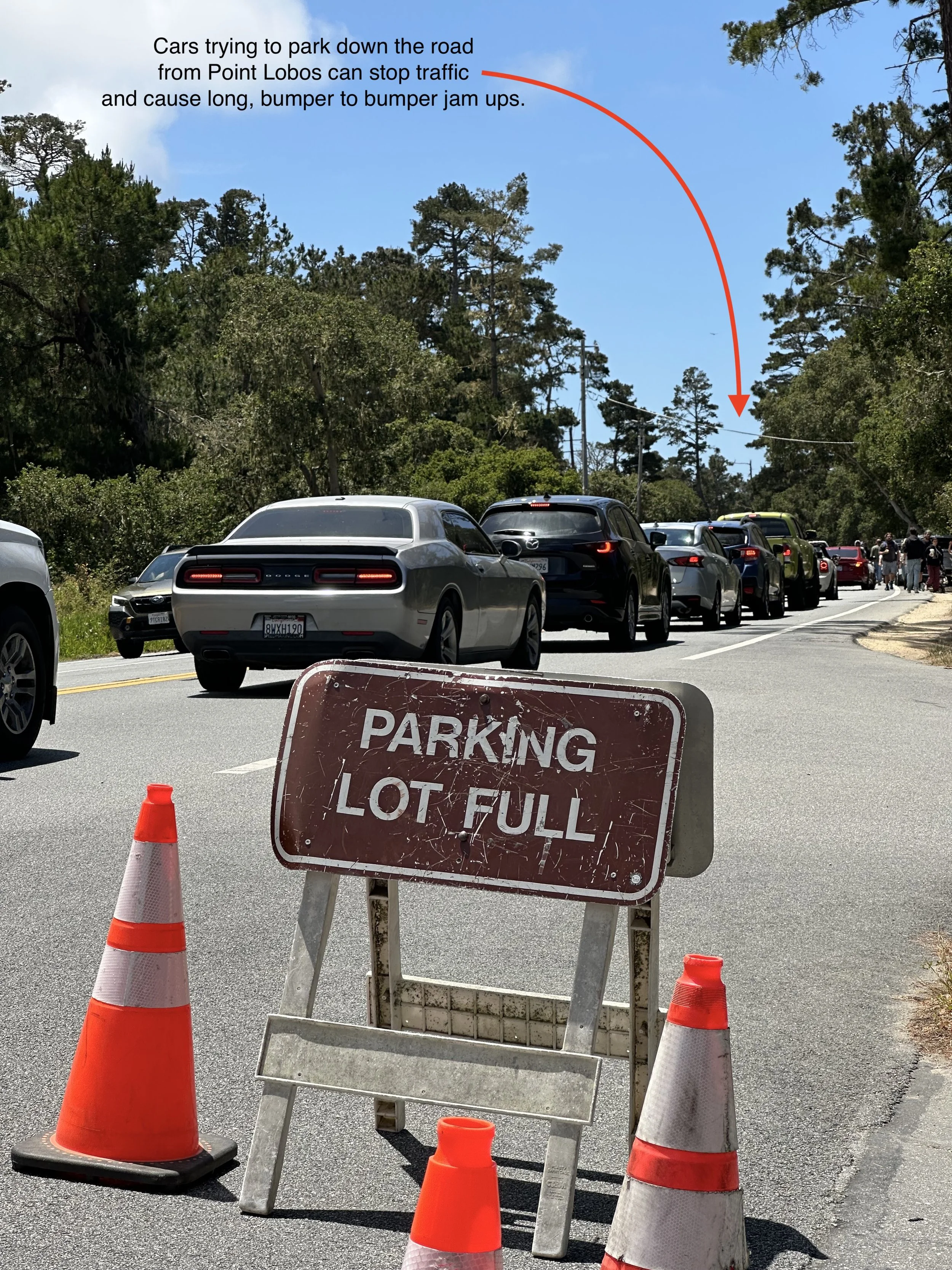 Multiple cars are in a line of stopped traffic on Highway 1 in front of Point Lobos, with  a sign that says 'Parking Lot Full' in the foreground. There is a wooded area with trees in the background, and a clear blue sky above.