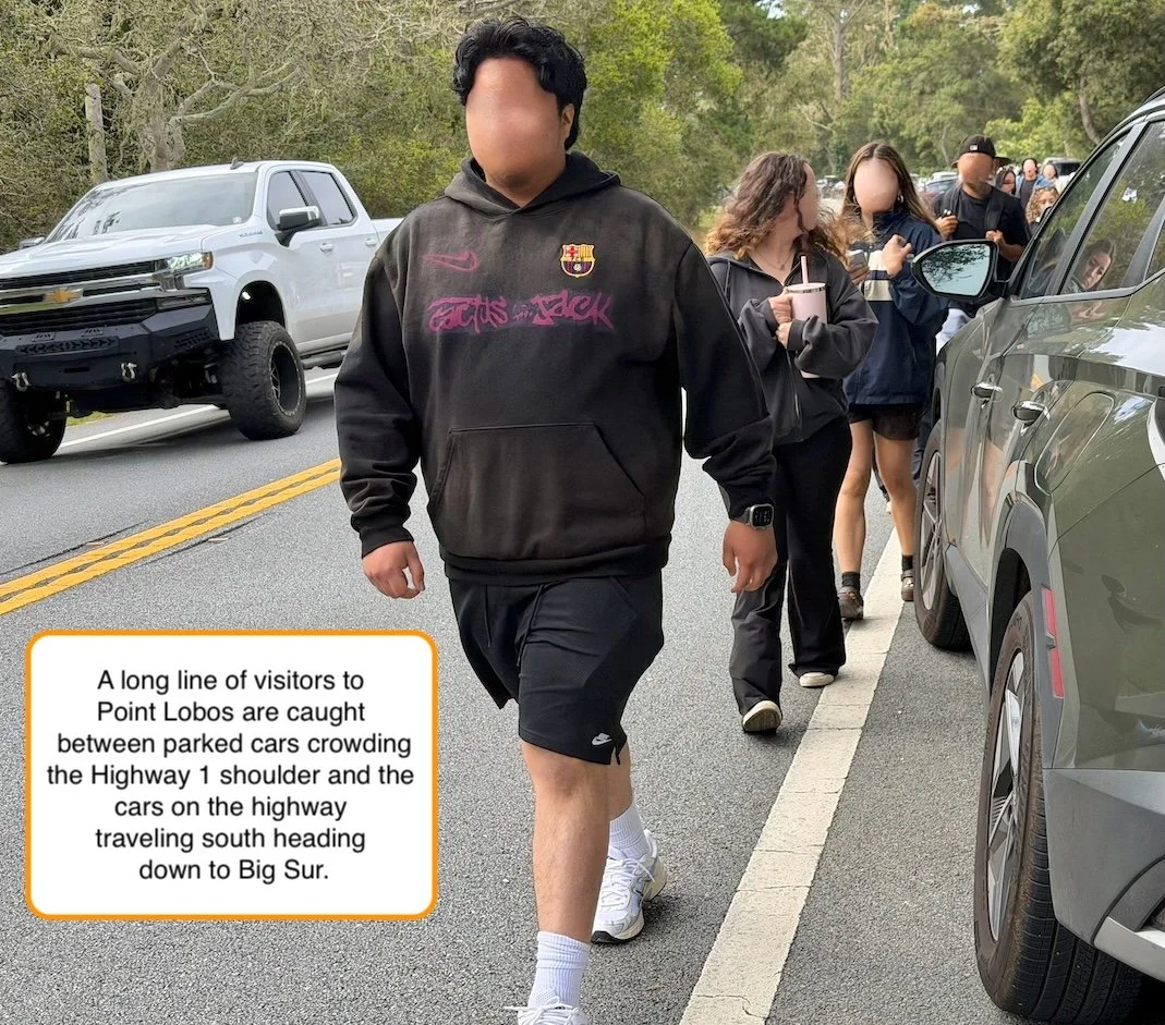 A long line of pedestrians walking directly on Highway 1 because the narrow shoulder is blocked by parked vehicles.