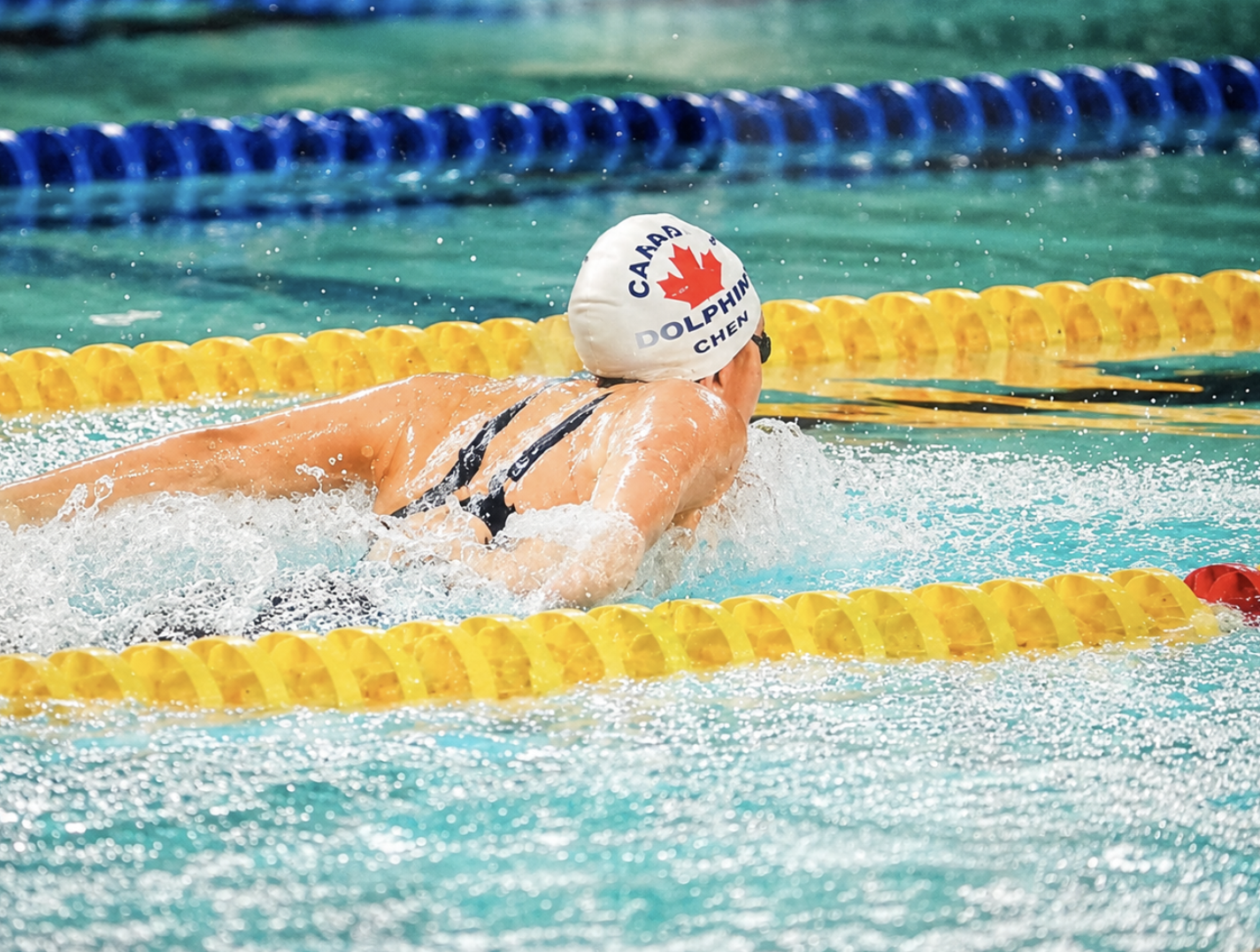 Swimmer in a pool, wearing a cap with Canadian flag and the words "Canada Dolphin Chen," performing a butterfly stroke.