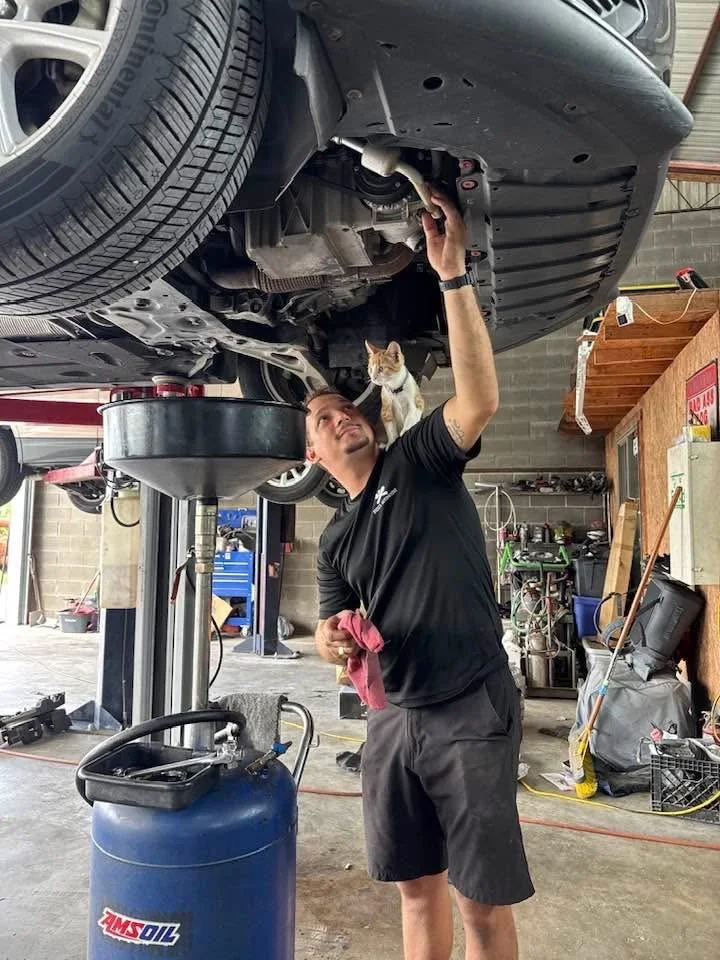 A mechanic working underneath a lifted car in an auto repair shop. The mechanic is holding a tool and looking up at the underside of the car. A cat is perched above him, partially hidden behind the car's undercarriage. The shop has various tools and equipment in the background.