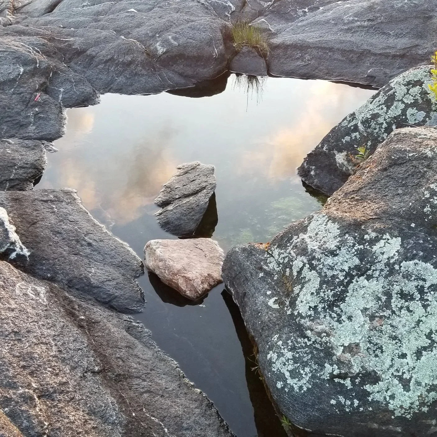 20230707_204747.jpg