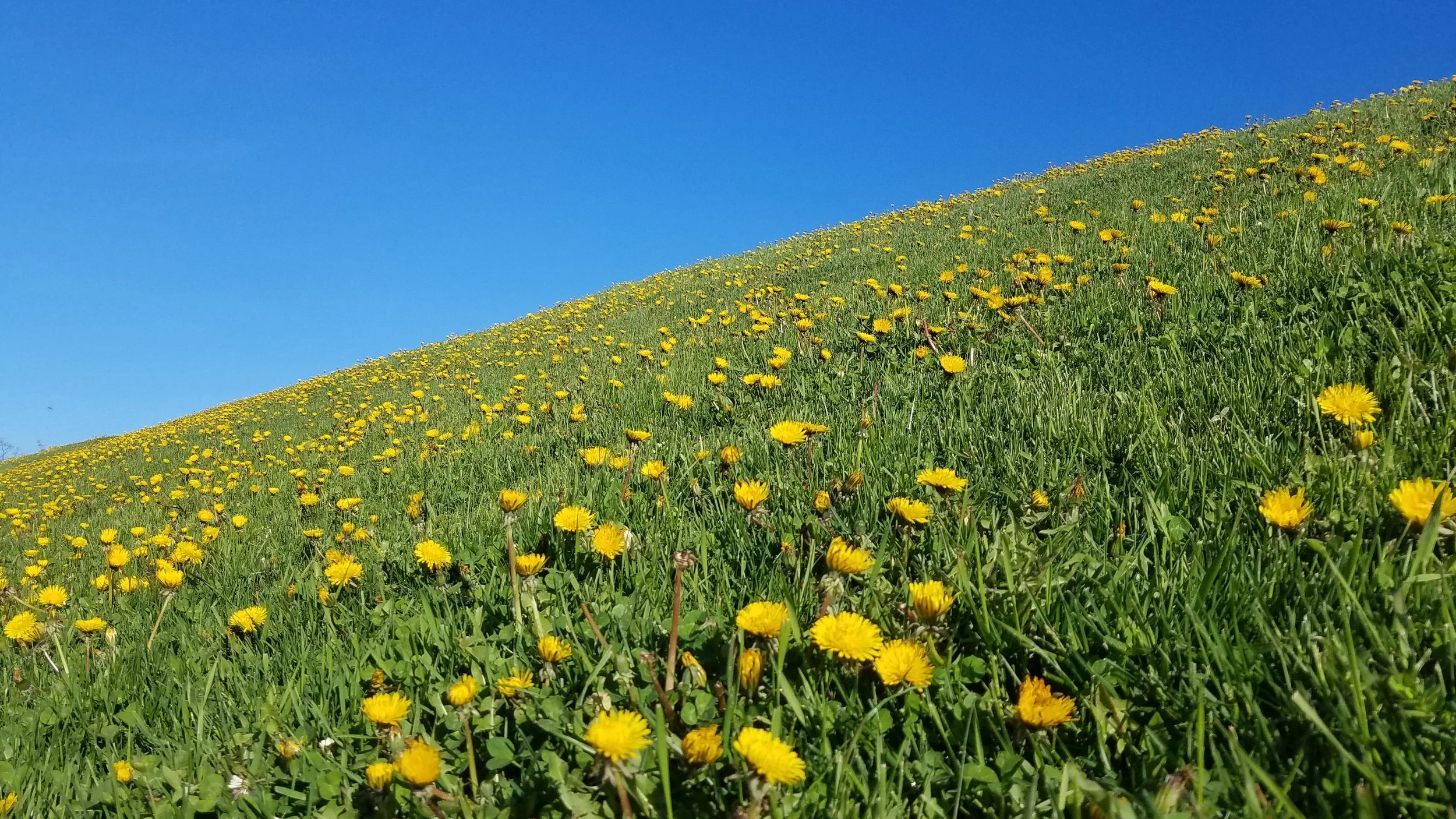 20190521_074517.jpg