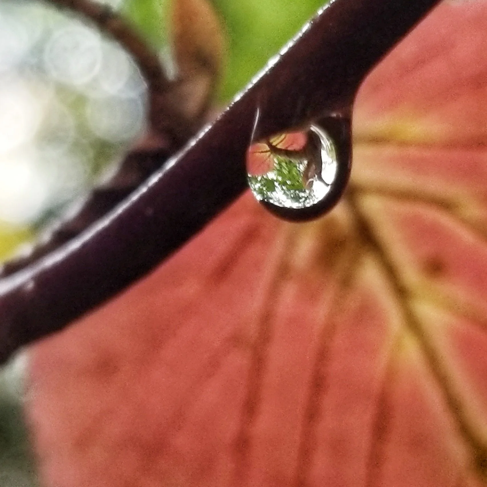 Deepening (Sessions 3-5)