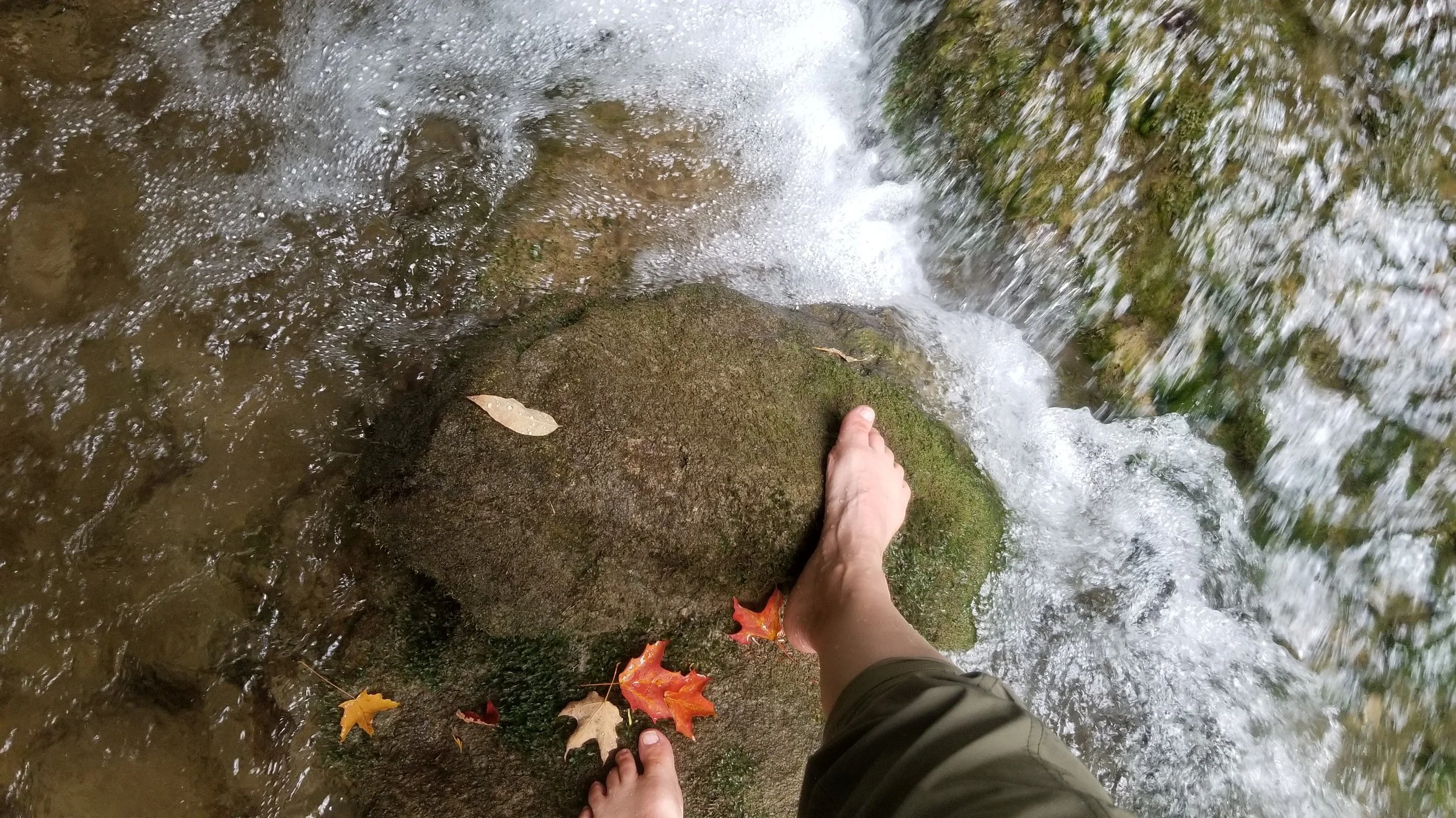 Beginning (Sessions 1-2)
