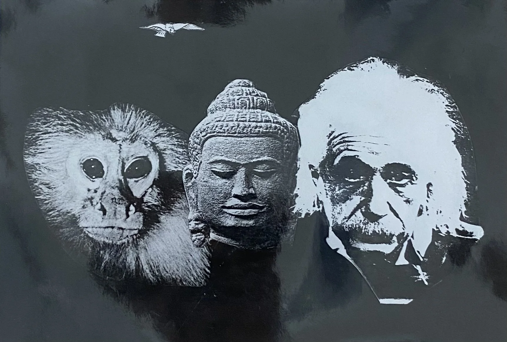 Black-and-white collage of three famous figures: a lion with a detailed face, a serene Buddha statue, and a portrait of Albert Einstein with distinctive white hair and mustache.
