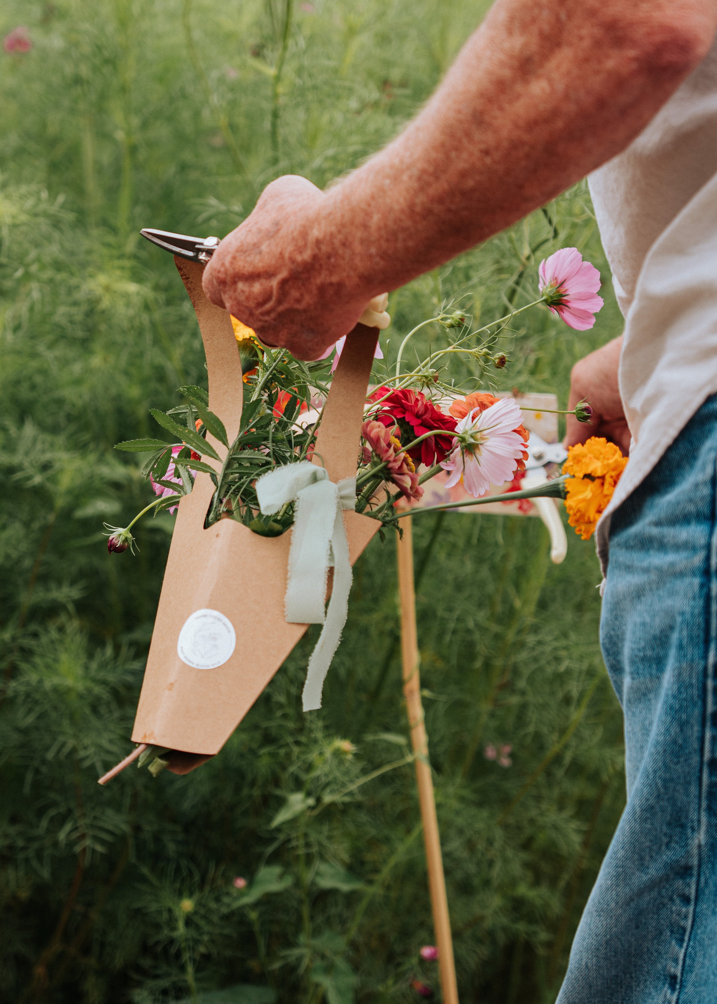 Sprout and Bloom x Hotworx Gift Card