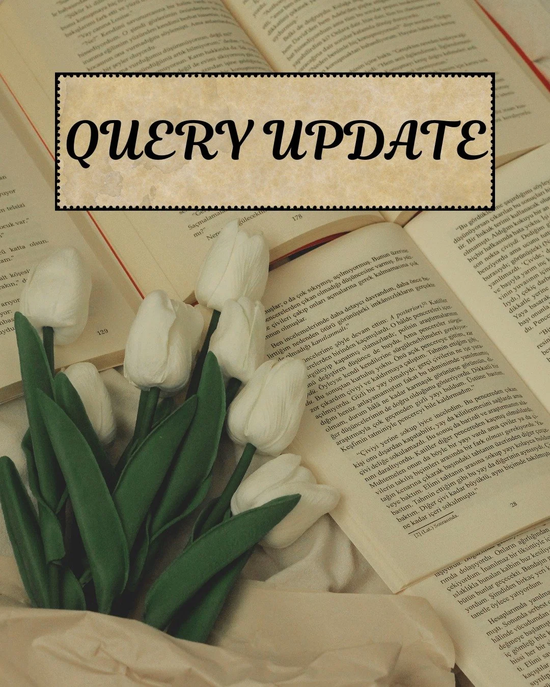 Over 100 days of querying Armageddon Game.

Querying is an exercise in patience. I wrote a new query letter from scratch today. I'm continuing to edit my manuscript, making it stronger every day. I know that you'll read my book someday, just you wait