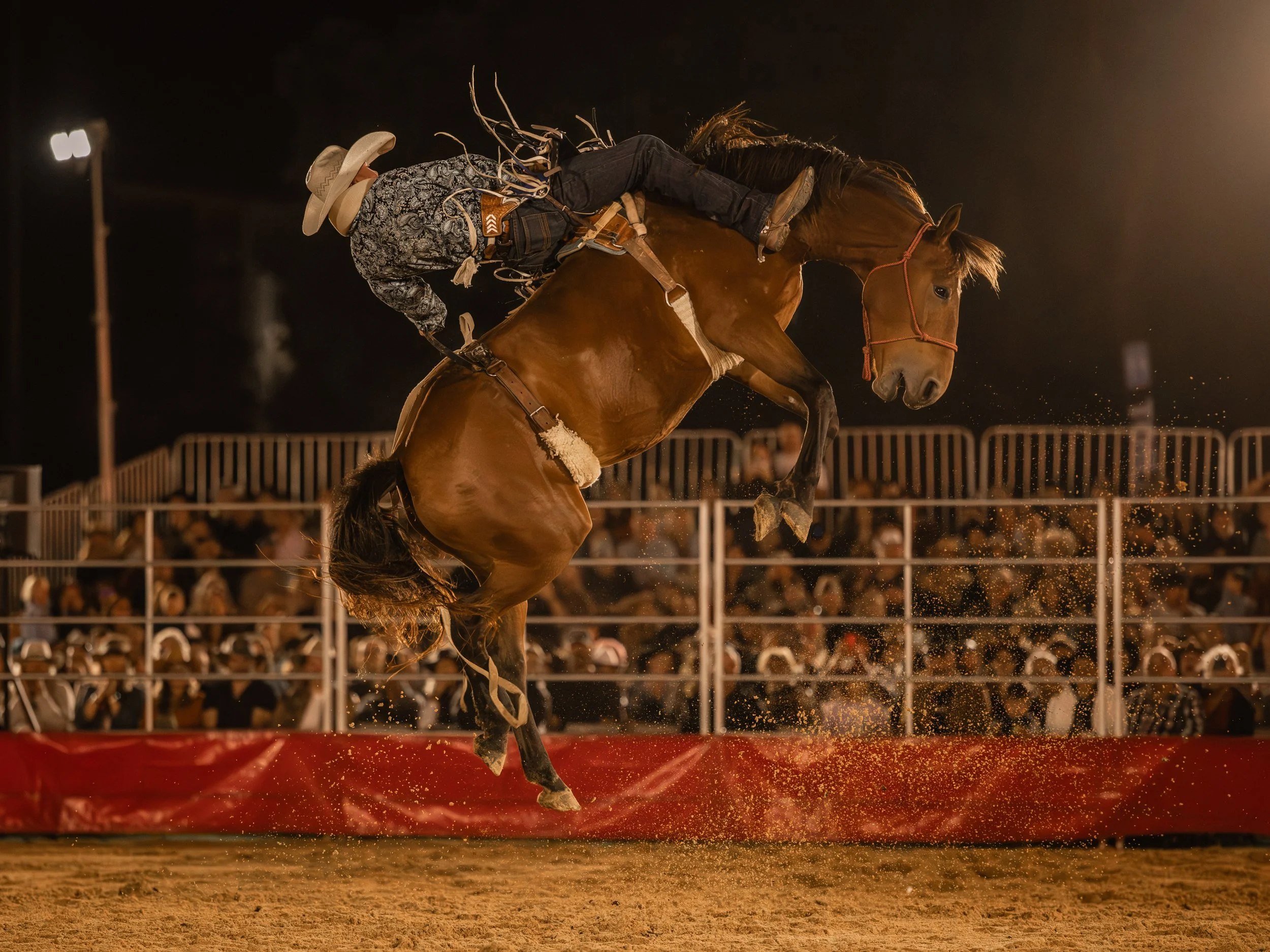 The WESTRN Edit | Western Sports Photography - A rodeo rider on a bucking horse during a rodeo event at night, with spectators in the background. The Western Edit