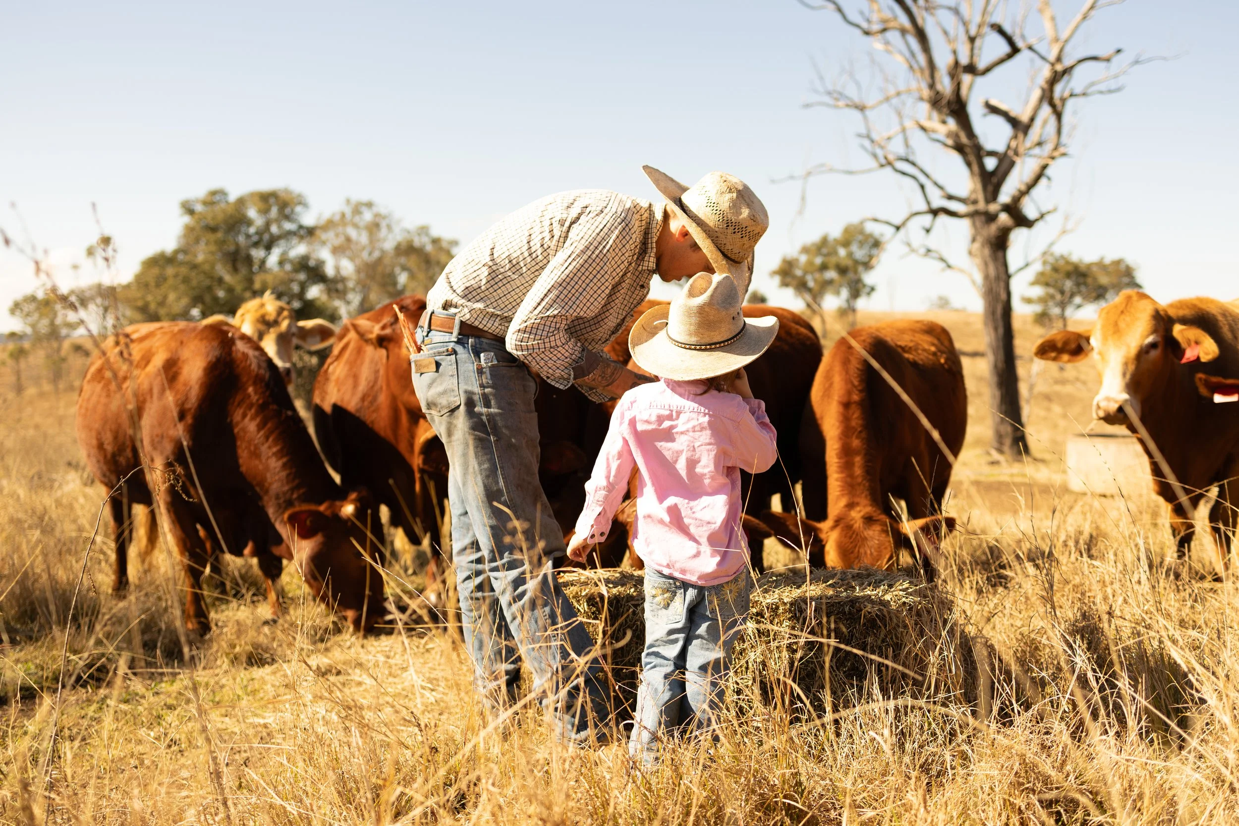 The COWGRL Edit | Branding Session - A man and a young girl wearing hats, standing among cows in a grassy field with trees in the background on a sunny day.