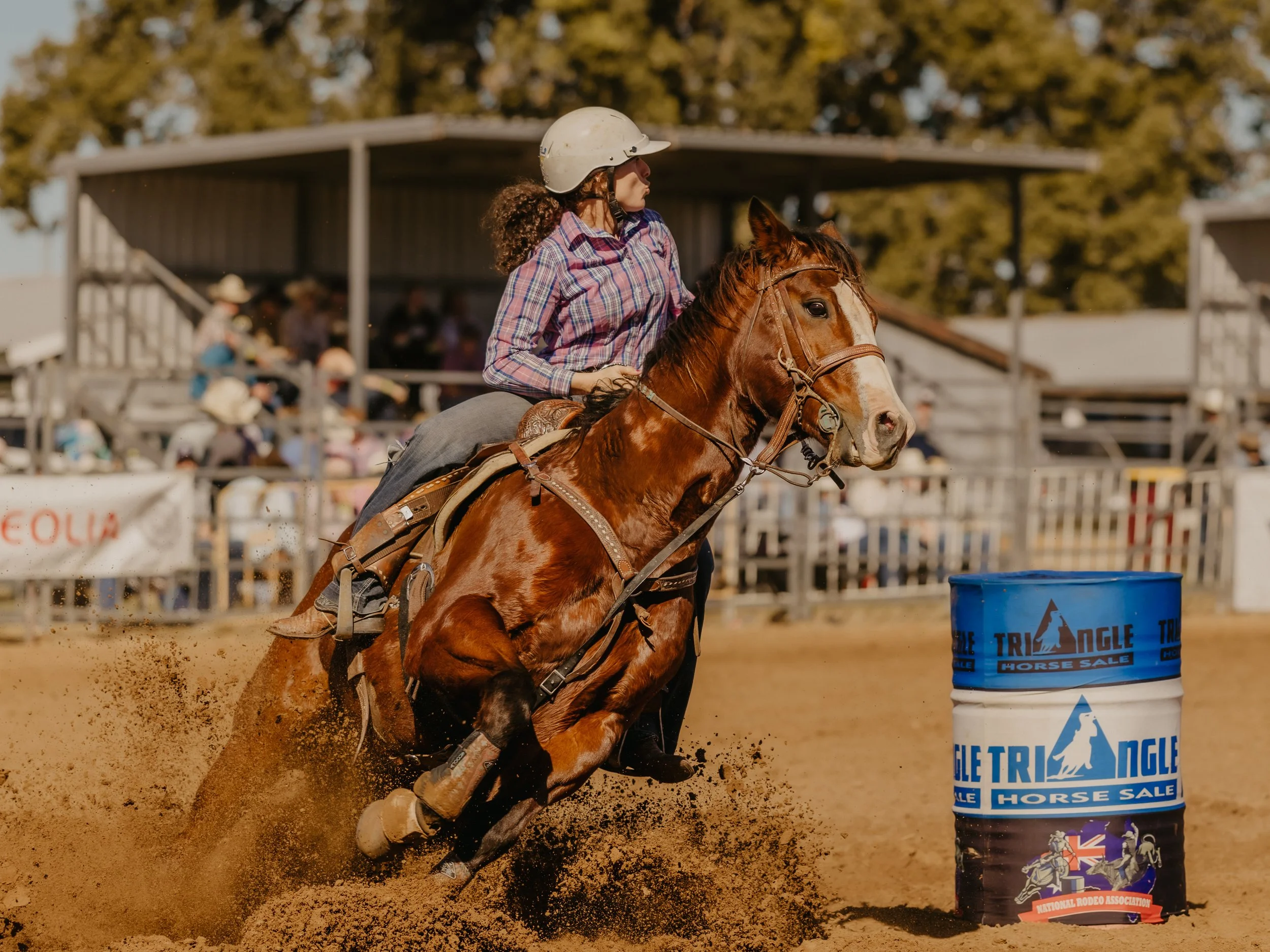 The WESTRN Edit | Western Sports Photography - A female rider in a plaid shirt and white helmet riding a brown and white horse around a barrel during a rodeo event, with spectators and a rodeo arena in the background.