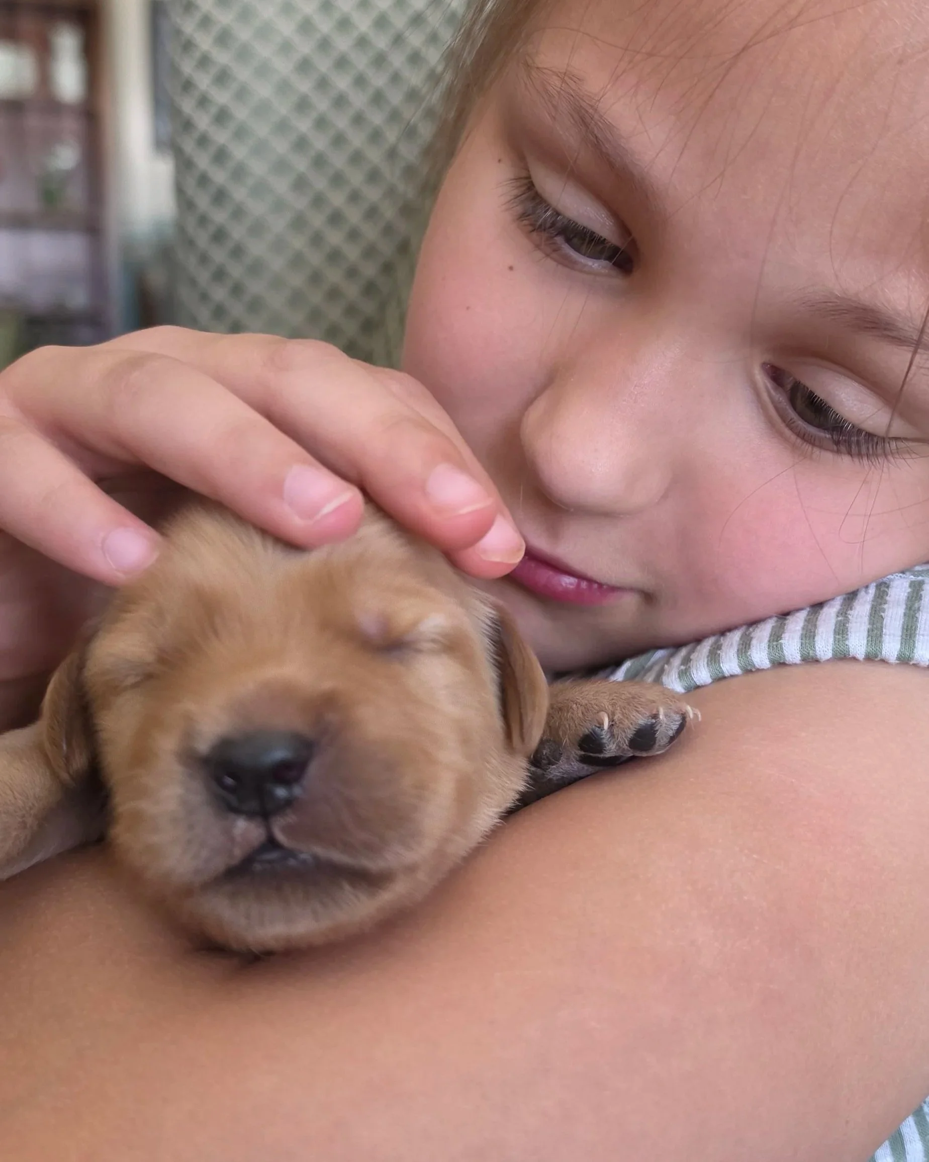 We begin socializing our puppies early on