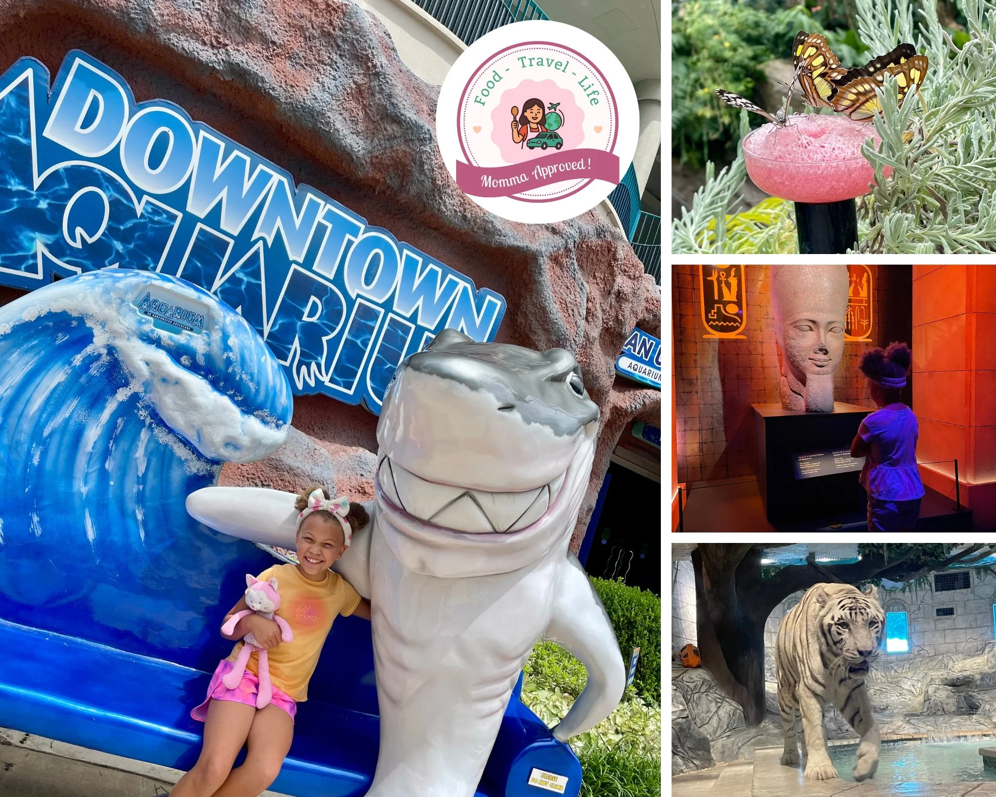 Make the Most out of Houston Inner-Loop with the Kids