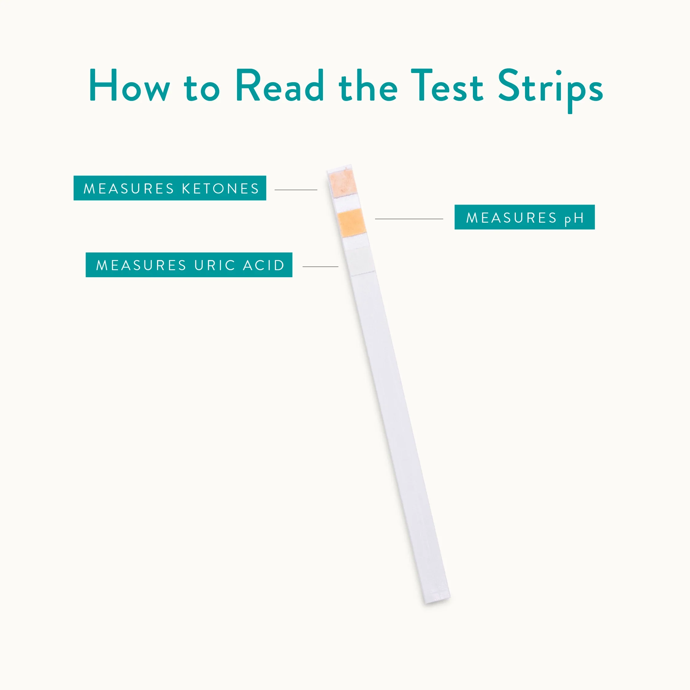 TGFD_TestStrips.webp