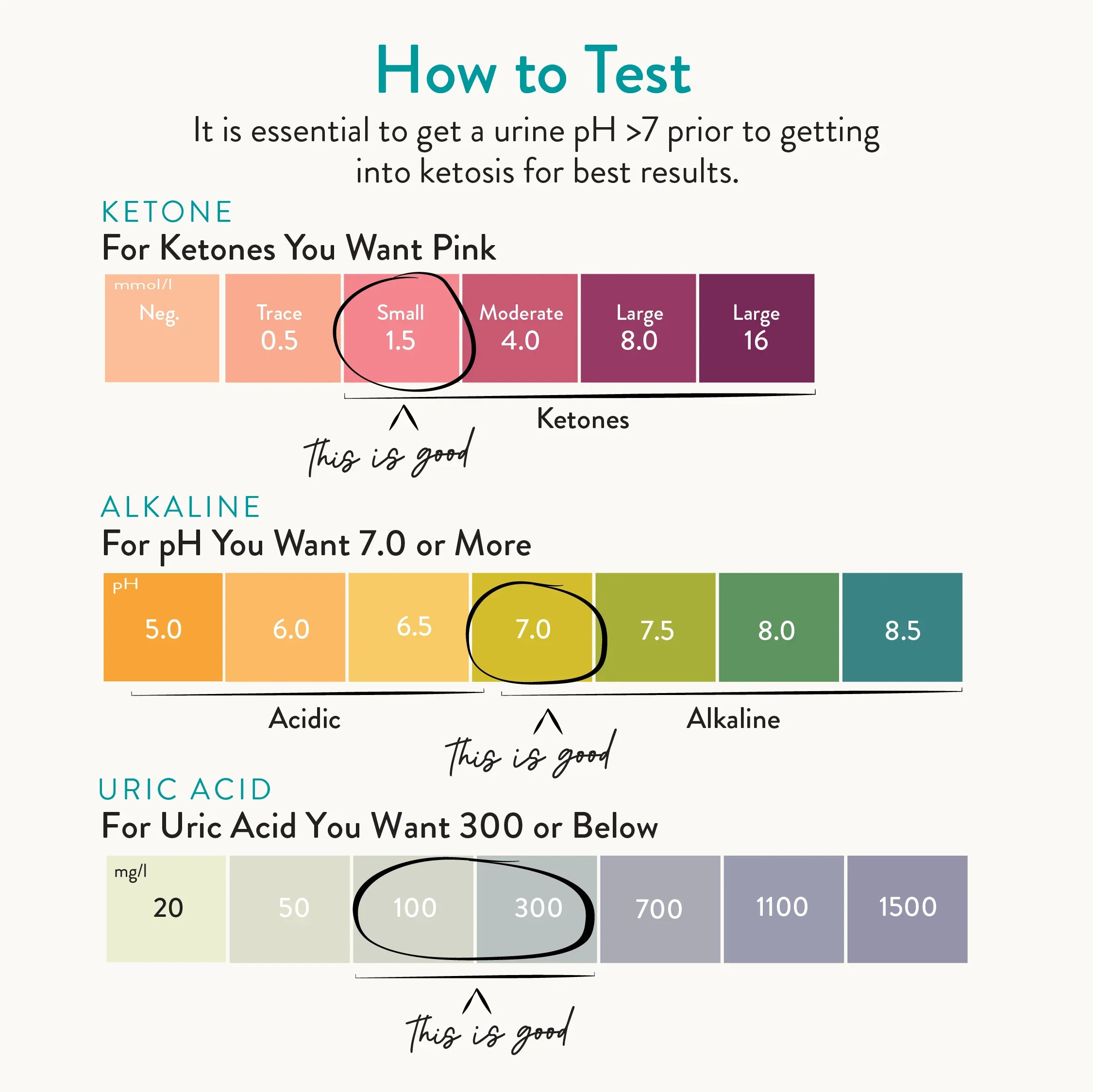 TDFG_UrineTestStrips_ProductPages-04_b188bb4c-6705-496b-98f2-e1b6a0c54505.webp