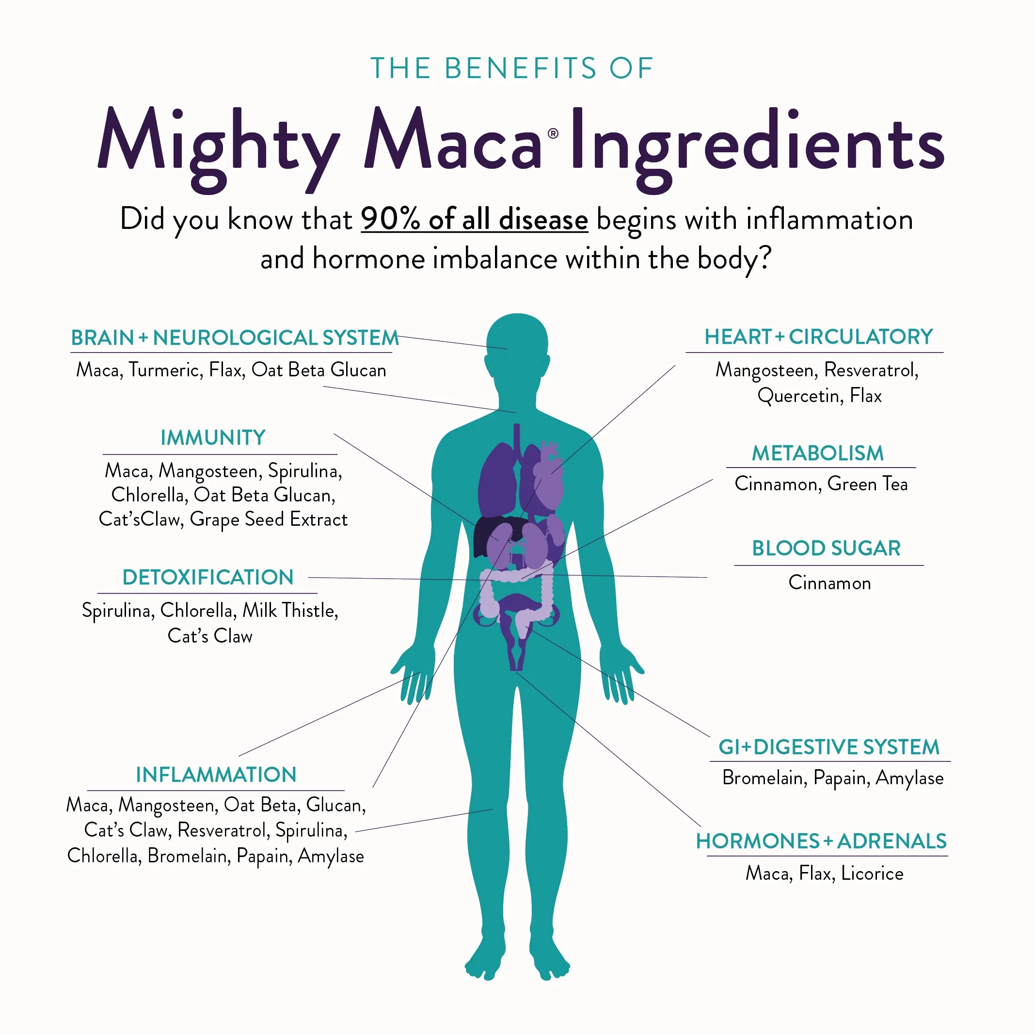 TGFD_MightyMaca_lifestyleimages-06.webp
