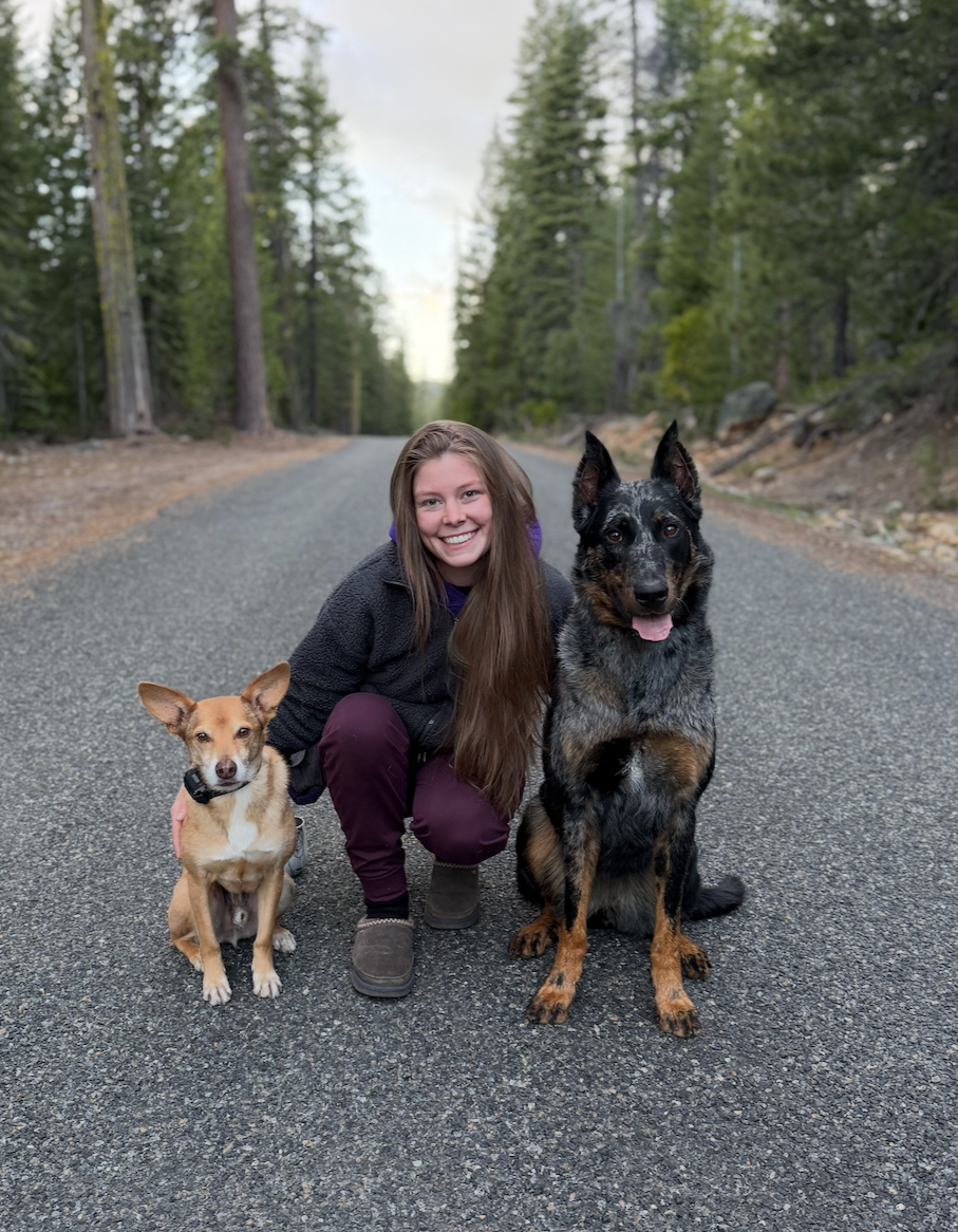 A smiling young woman kneeling on a paved forest road, flanked by a small tan dog and a large German Shepherd, with tall trees on either side.