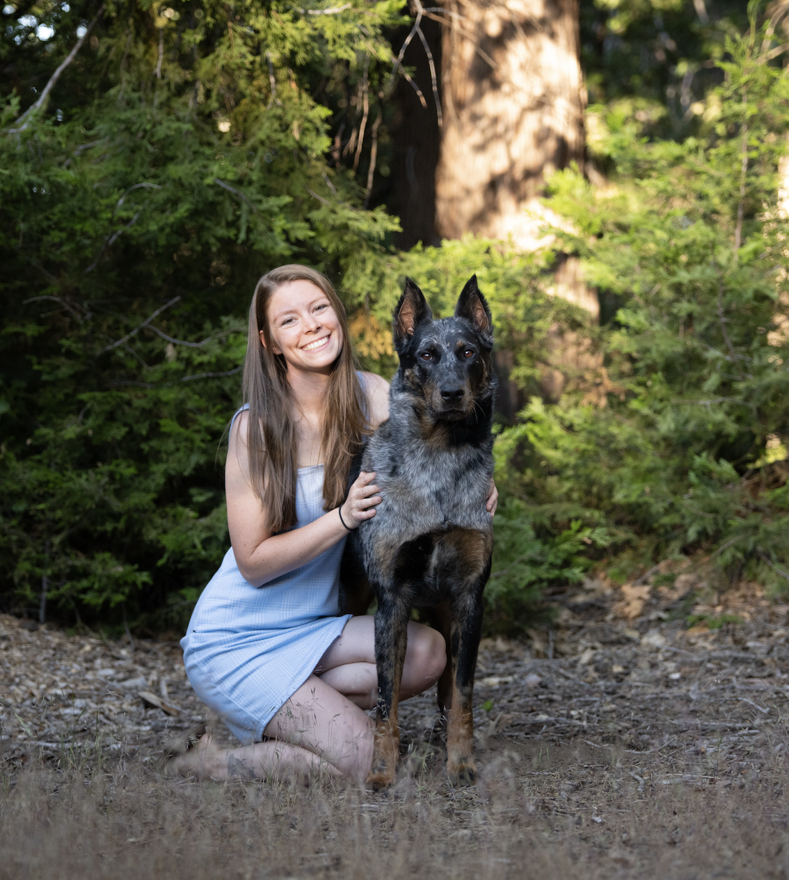 A young woman kneeling in a forest with a large dog, both facing the camera. The woman is smiling and wearing a light blue dress, with trees and greenery in the background.