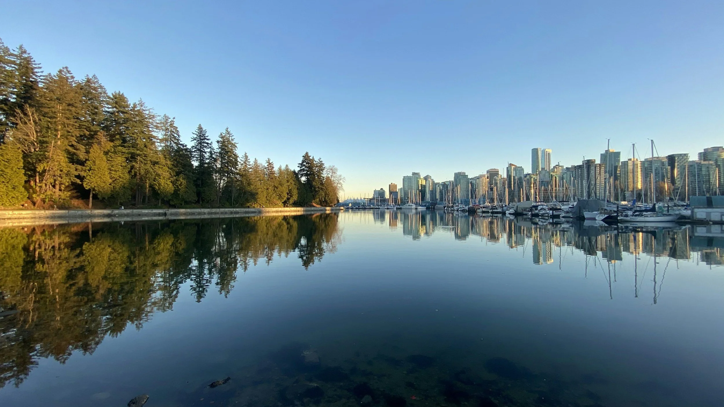 City skyline with high-rise buildings, boats docked at a marina, and a forested area reflected in calm water during sunset or sunrise.