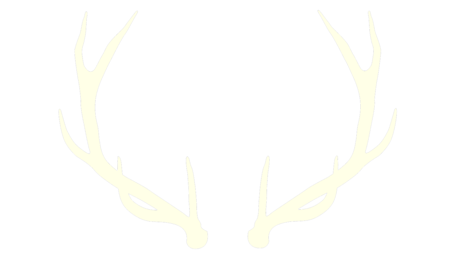 KCTaxidermyServices