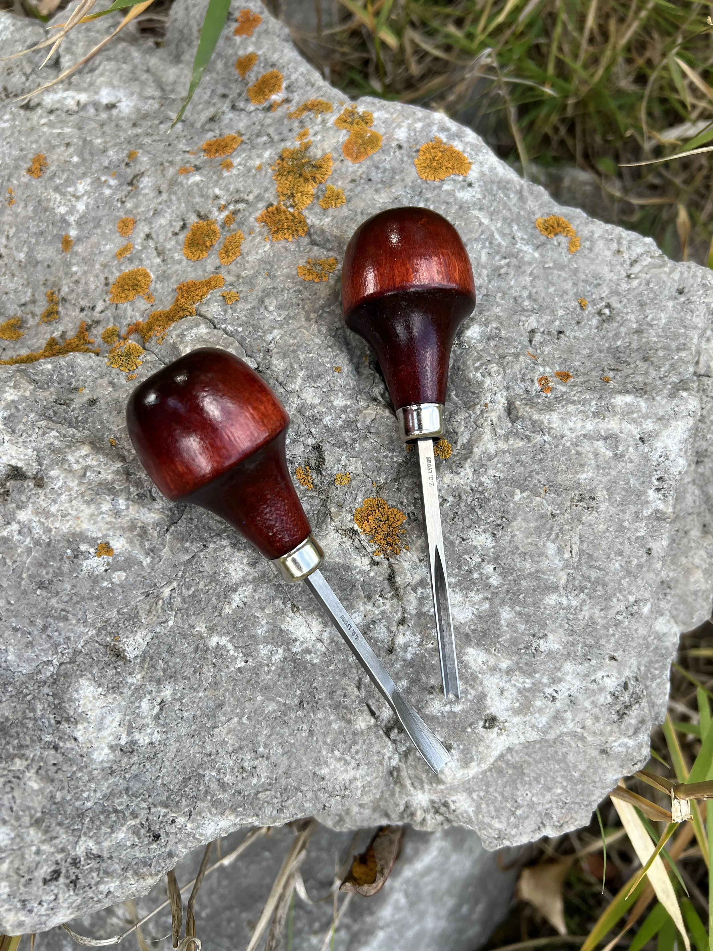 Close-up of two linocut carving tools on a grey rock with yellow lichen, in a grassy outdoor area.