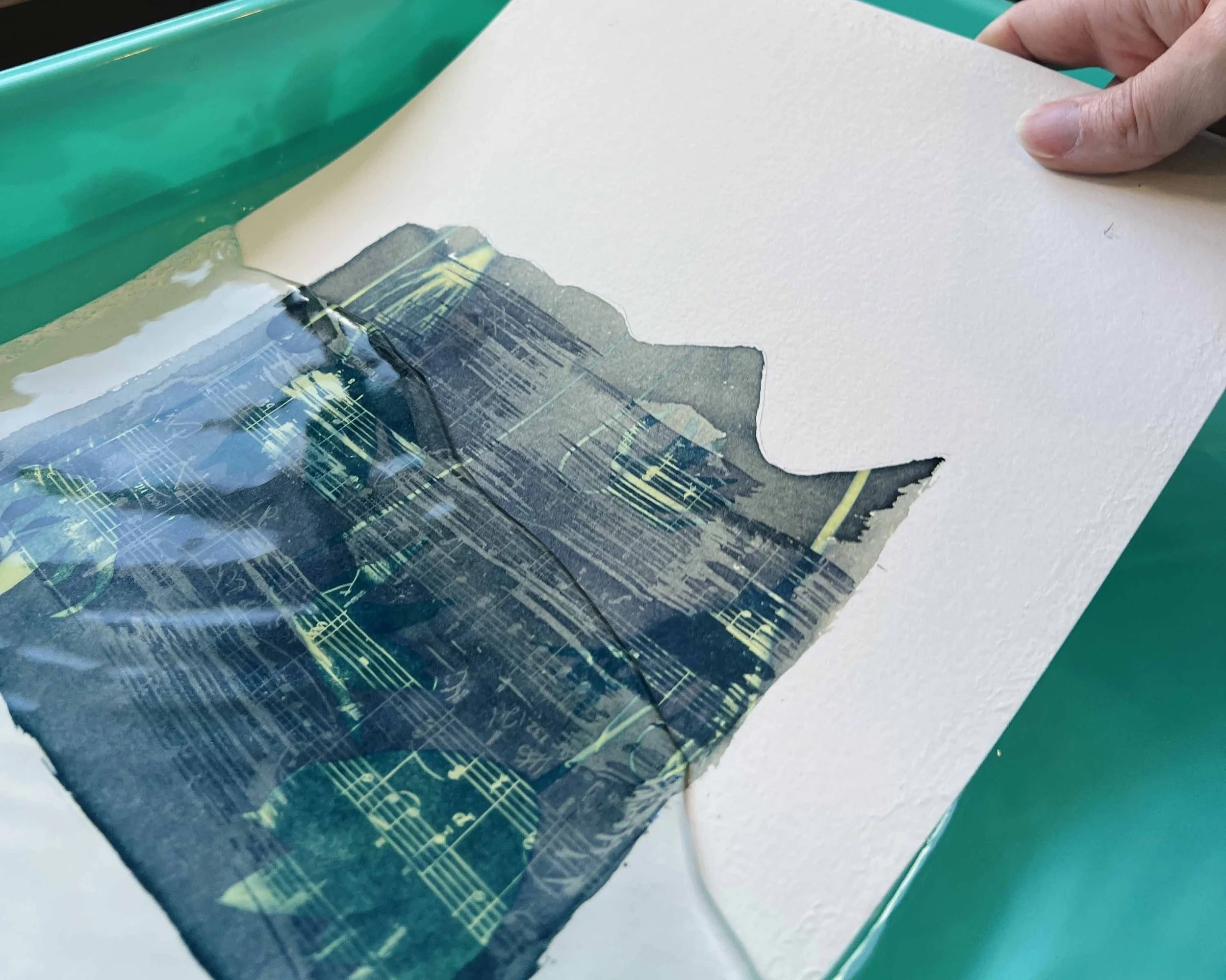 Close-up of a women slipping a cyanotype into the water after it has been exposed to the light.