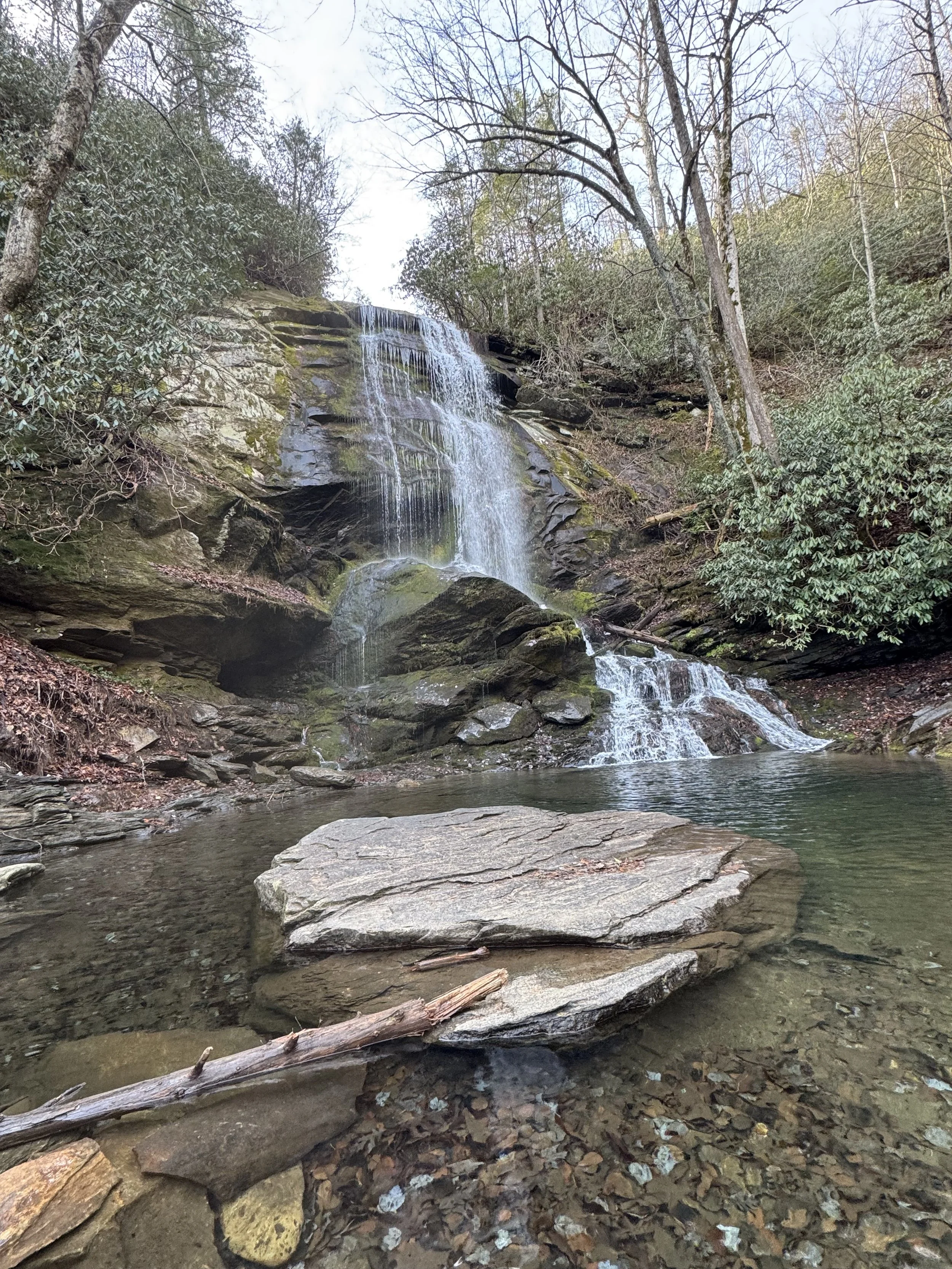 A small waterfall flowing over rocks in a forested area with trees on either side and water pooling at the bottom.
