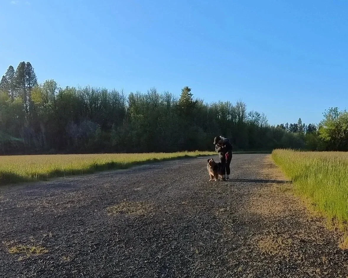 A person standing on a gravel road with a dog, surrounded by green fields and trees under a clear blue sky.