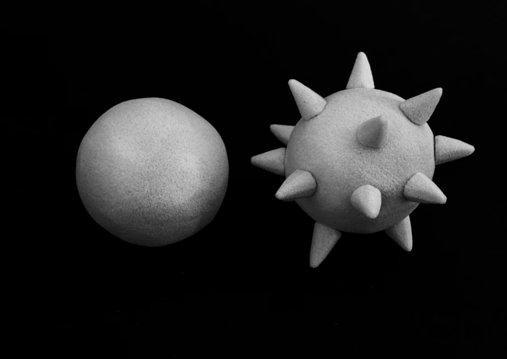 San Francisco, 2021

Salt and pepper shaker prototypes, made as experiments in form, reflect the flavors of salt and pepper without letter or color indicators. 