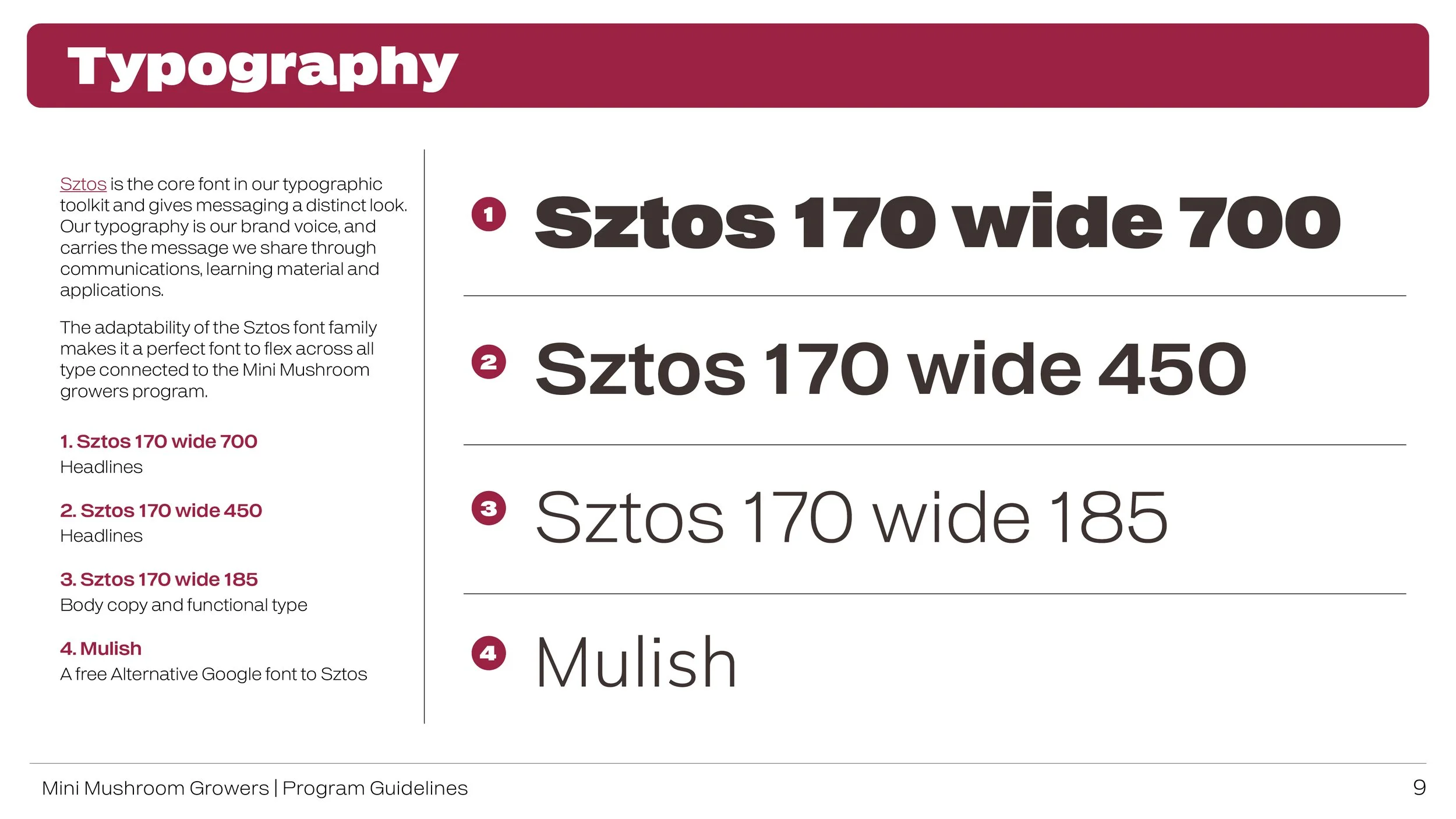 Program Style Guide V29.jpg