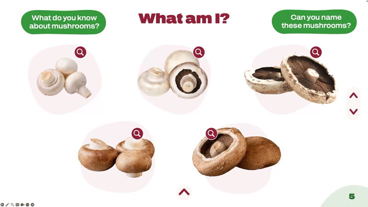 Interactive classroom presentation designs combining custom illustration, educational activities and engaging layouts to introduce students to mushroom growing and healthy food education.