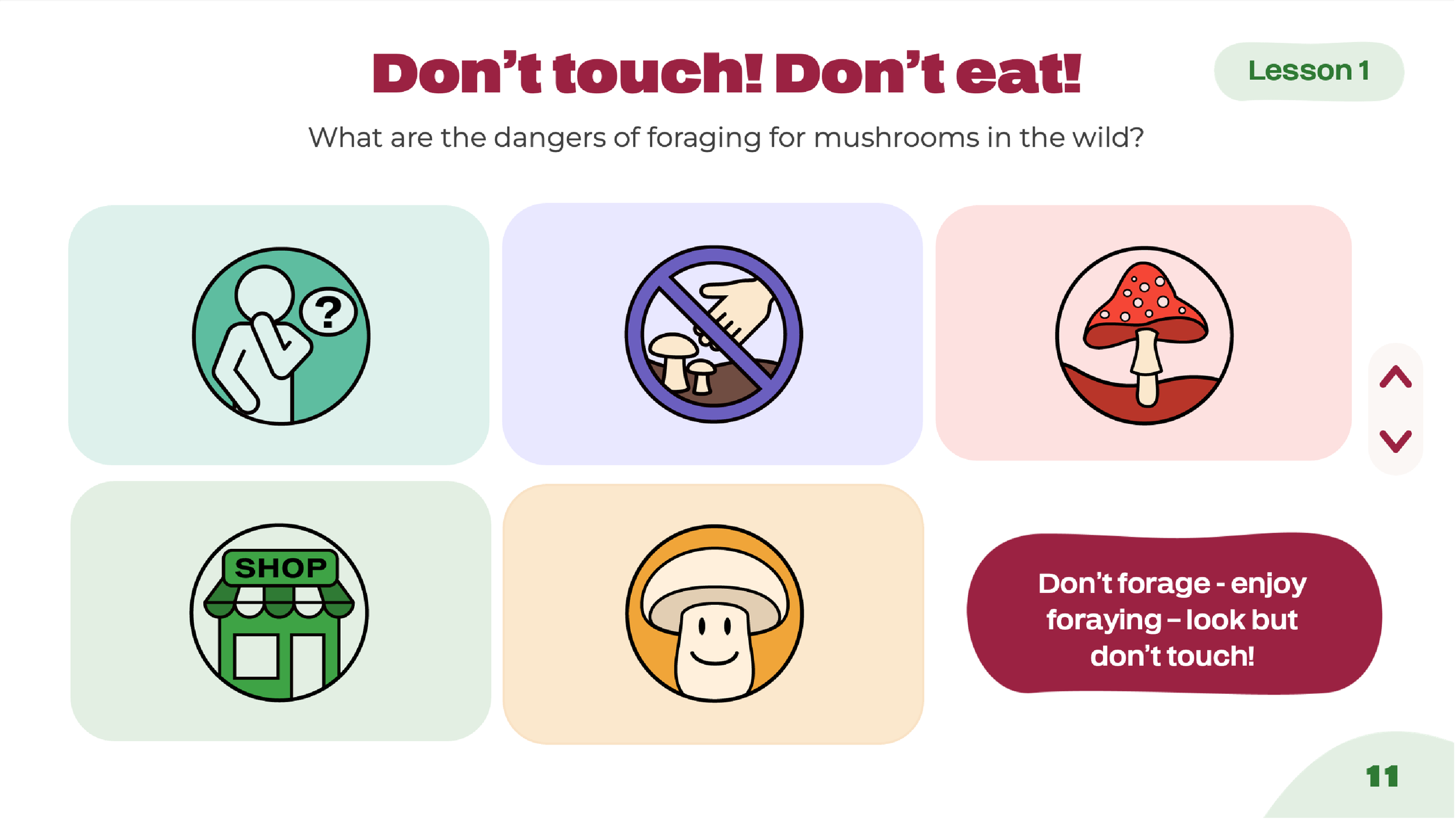 Interactive classroom presentation designs combining custom illustration, educational activities and engaging layouts to introduce students to mushroom growing and healthy food education.