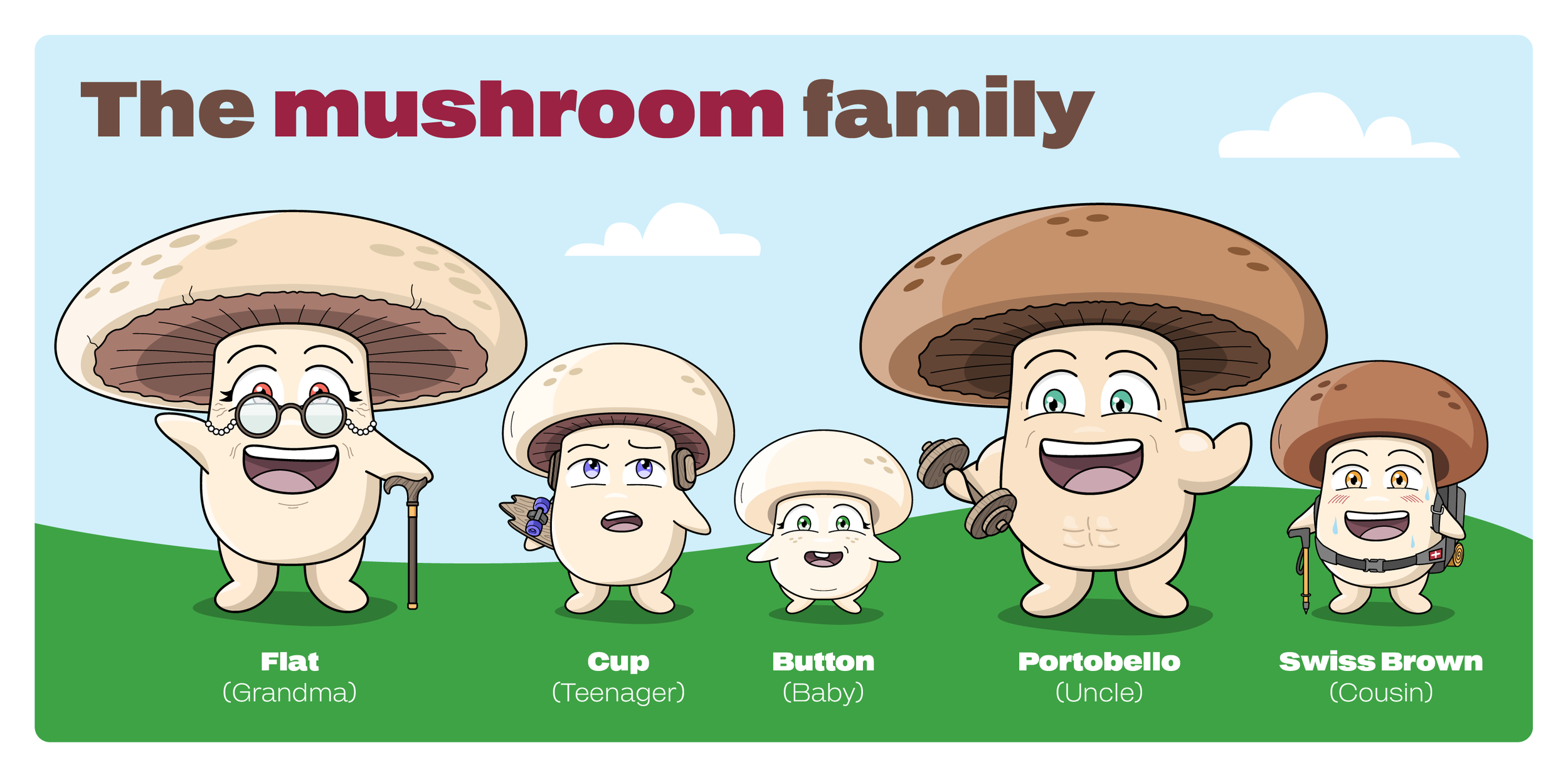 Illustrated mushroom characters featuring expressive personalities, diverse poses and memorable visual storytelling designed to engage young learners across the Mini Mushroom Growers program.