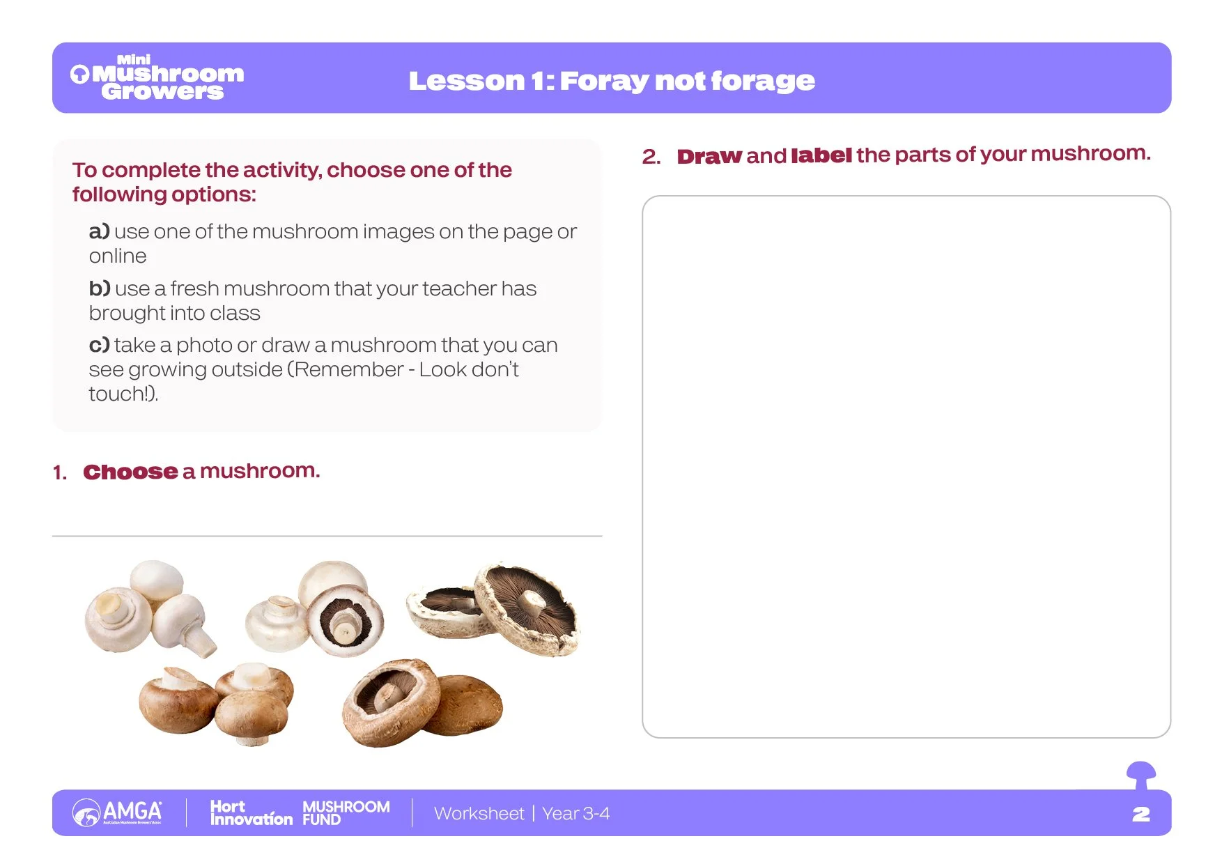 Teacher resources, printable worksheets and classroom activities designed to reinforce key learning outcomes while maintaining a consistent visual identity across the Mini Mushroom Growers program.