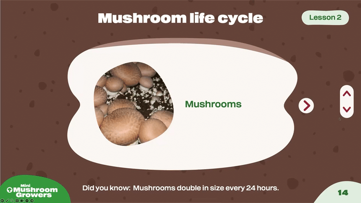Interactive classroom presentation designs combining custom illustration, educational activities and engaging layouts to introduce students to mushroom growing and healthy food education.