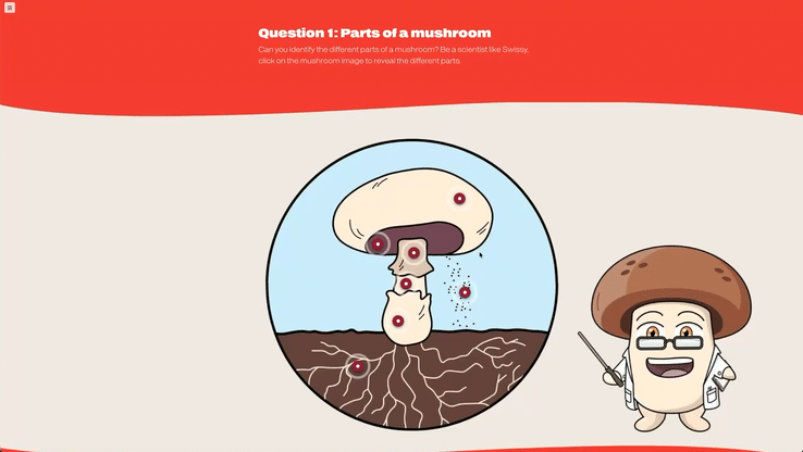 Interactive online learning modules featuring custom illustrations, educational activities and visual storytelling designed to support self-paced classroom learning.