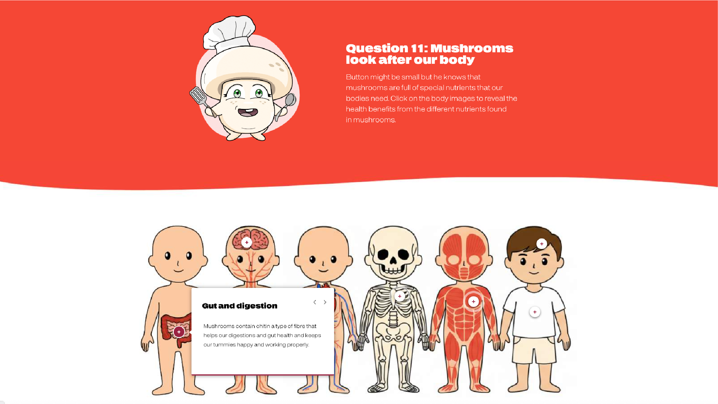 Interactive online learning modules featuring custom illustrations, educational activities and visual storytelling designed to support self-paced classroom learning.